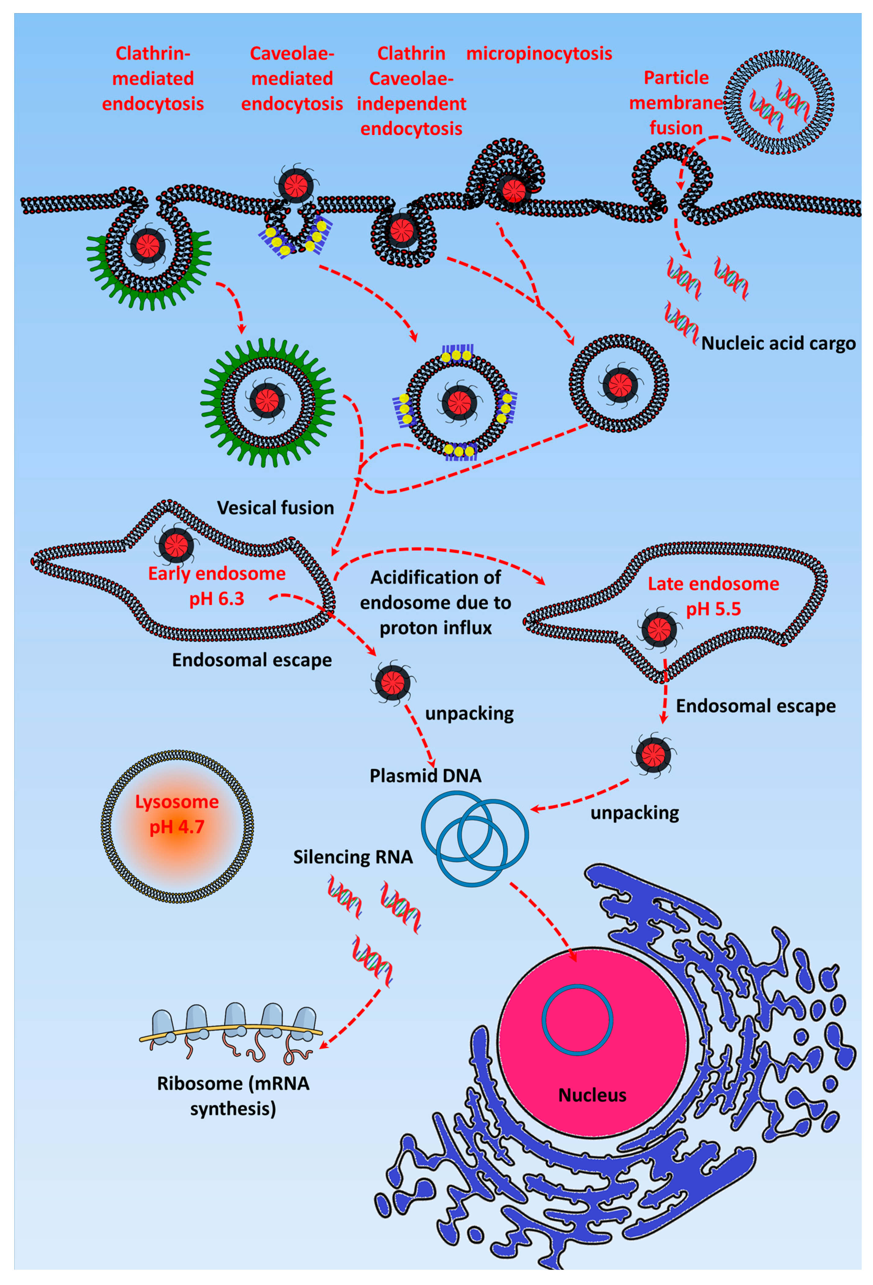 Nanomaterials 07 00120 g001
