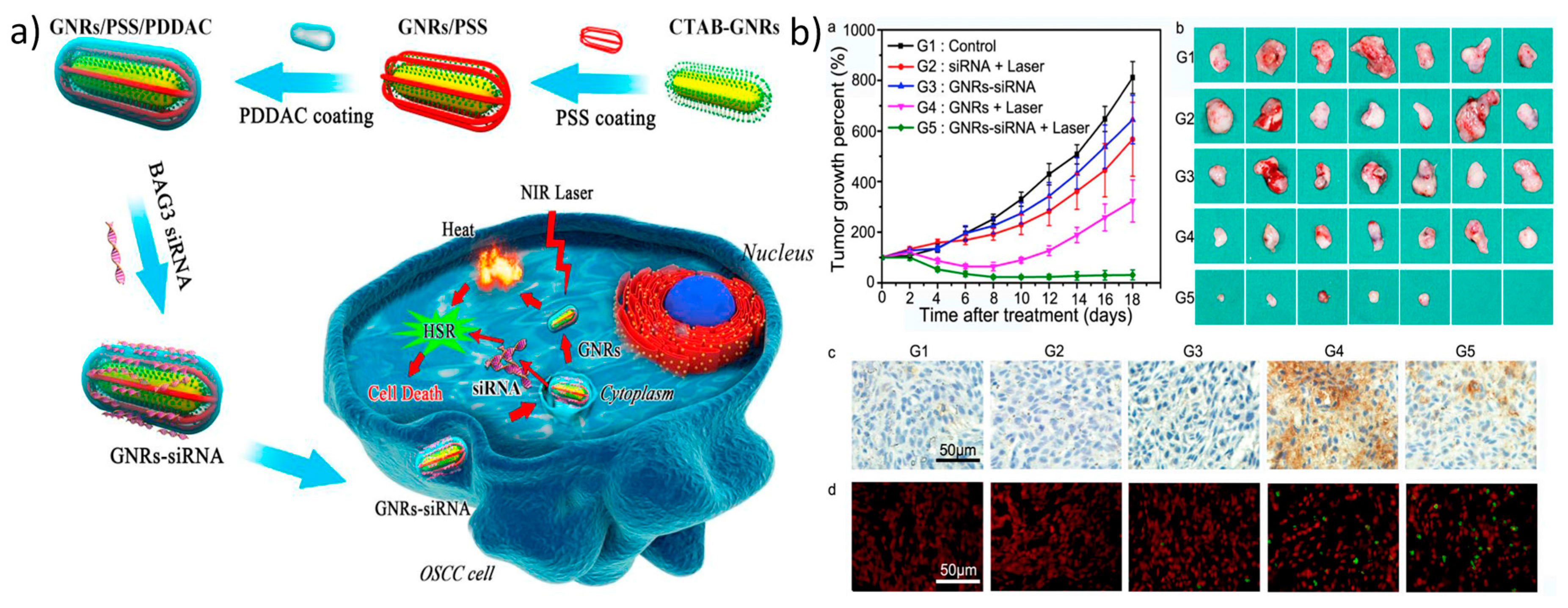 Nanomaterials 07 00120 g005