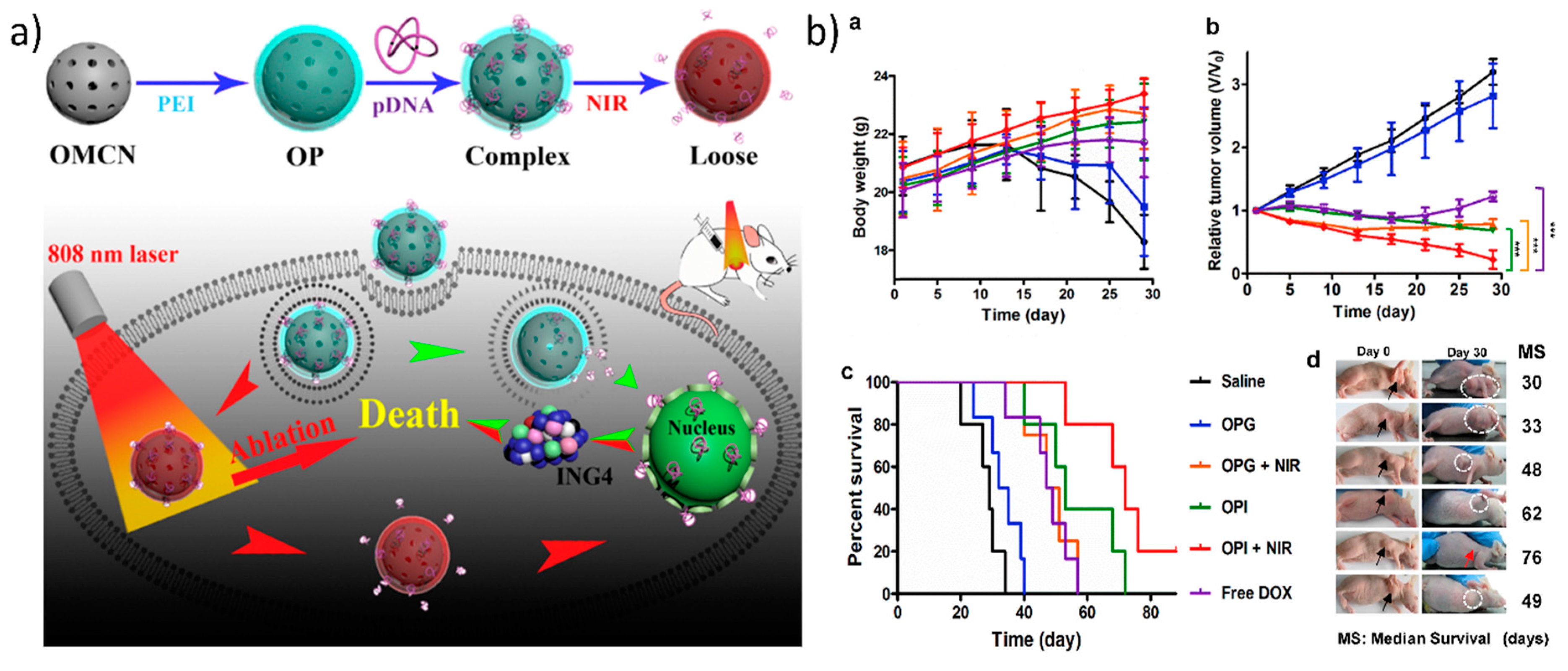 Nanomaterials 07 00120 g006