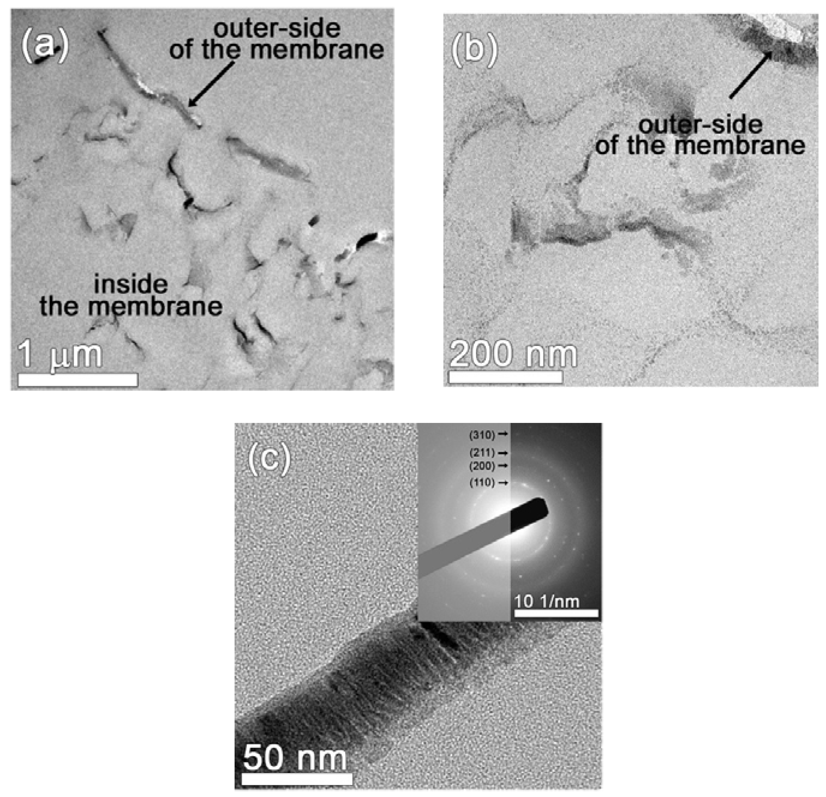 Nanomaterials 07 00155 g002