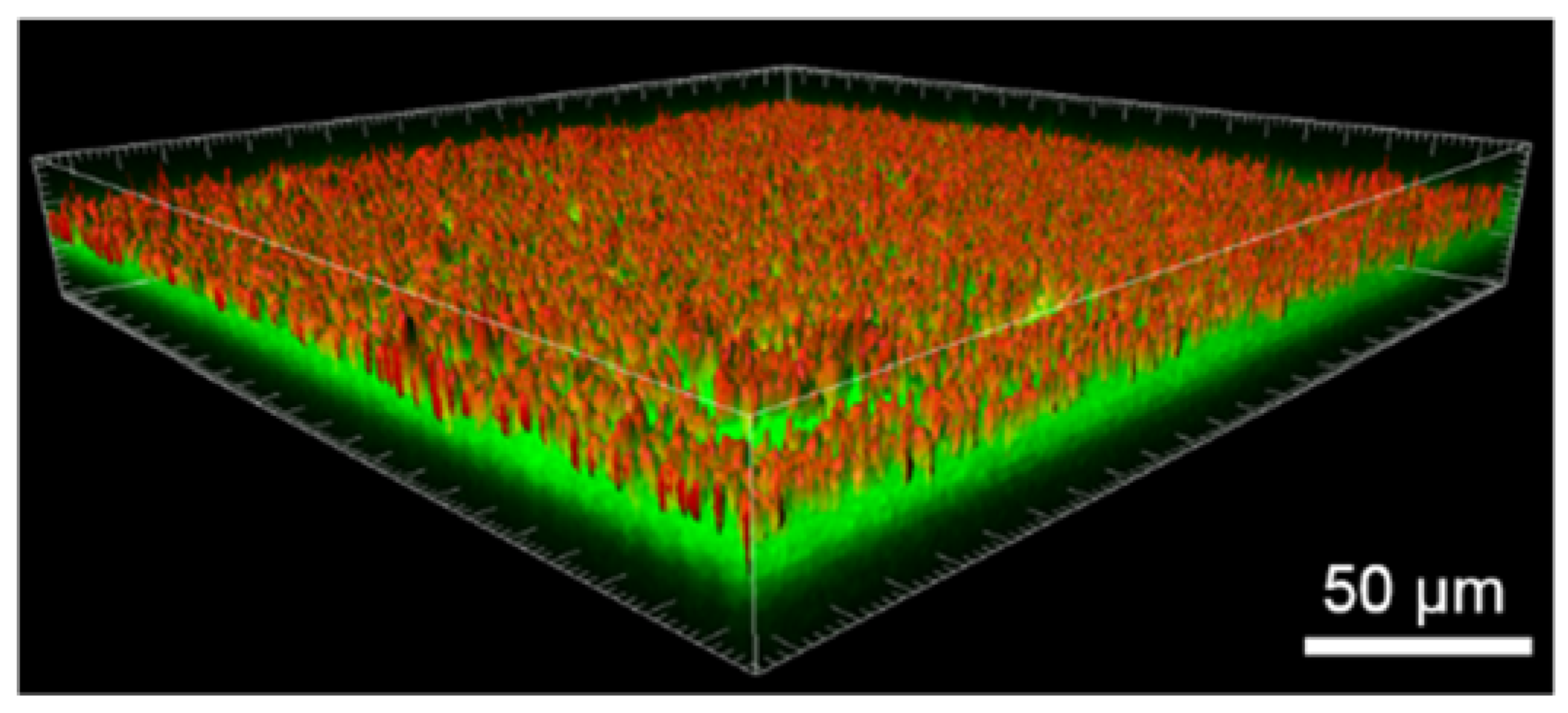 Nanomaterials 07 00155 g007