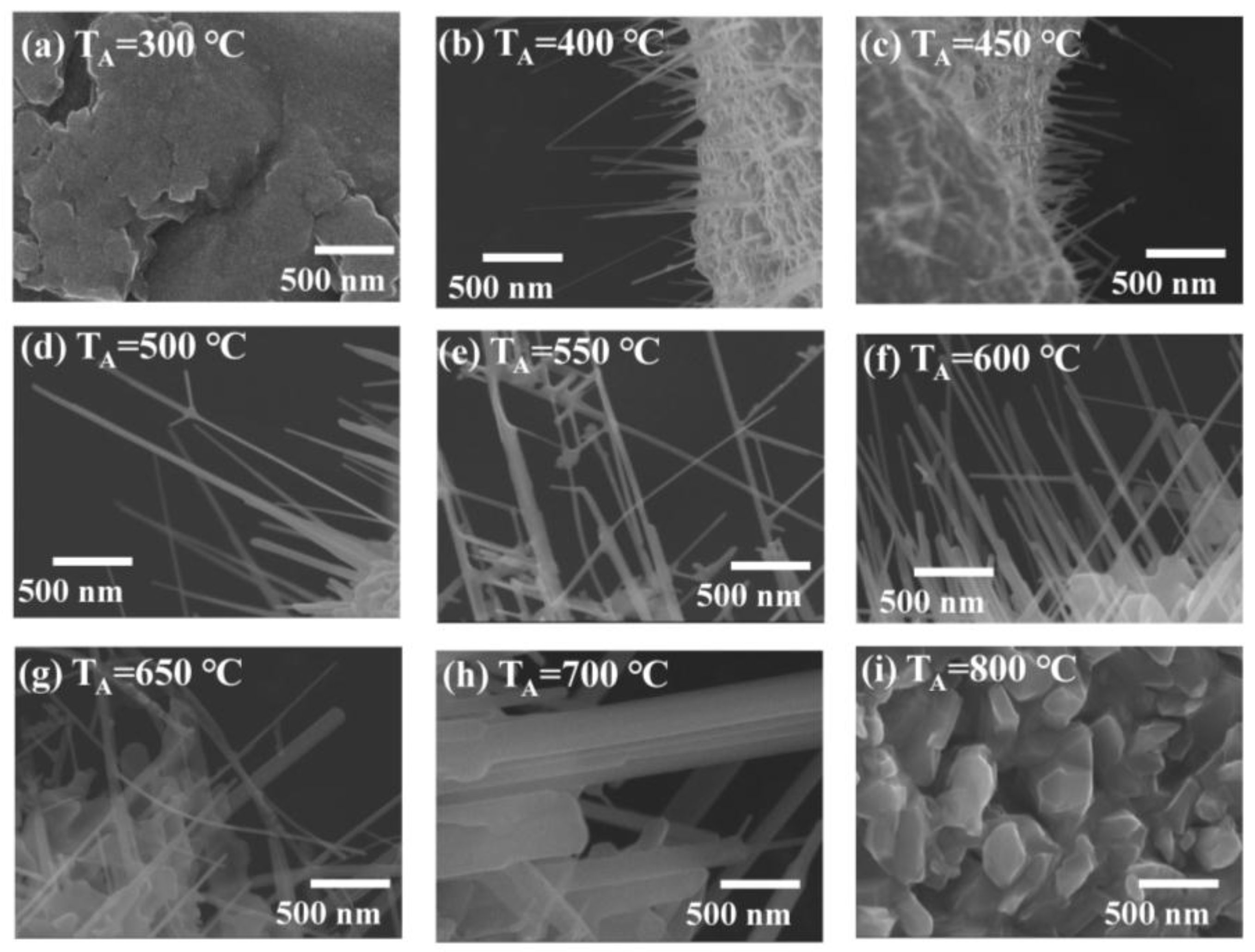 Nanomaterials 07 00188 g002