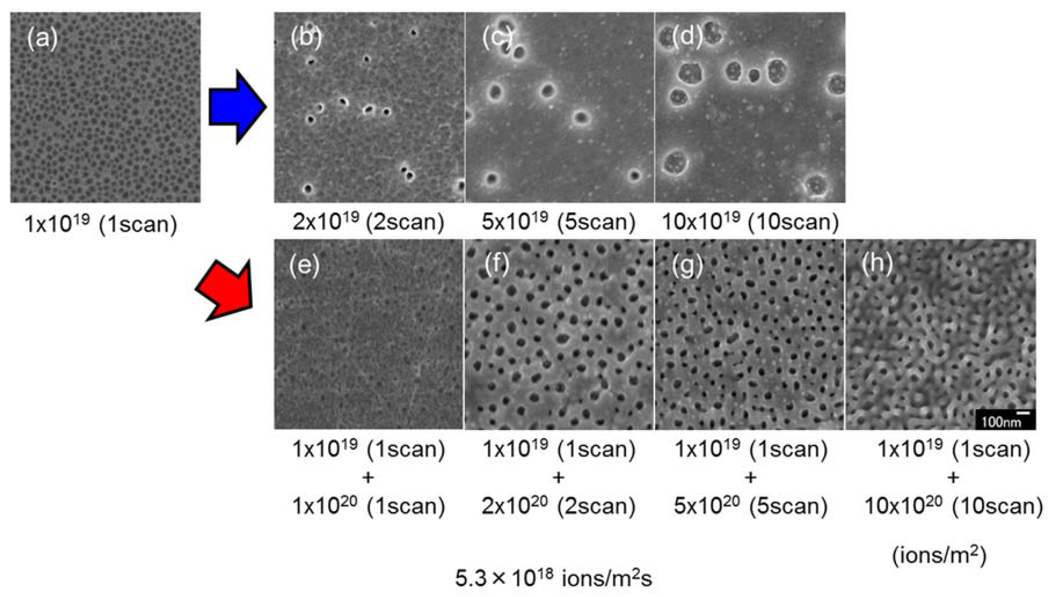 Nanomaterials 07 00204 g008