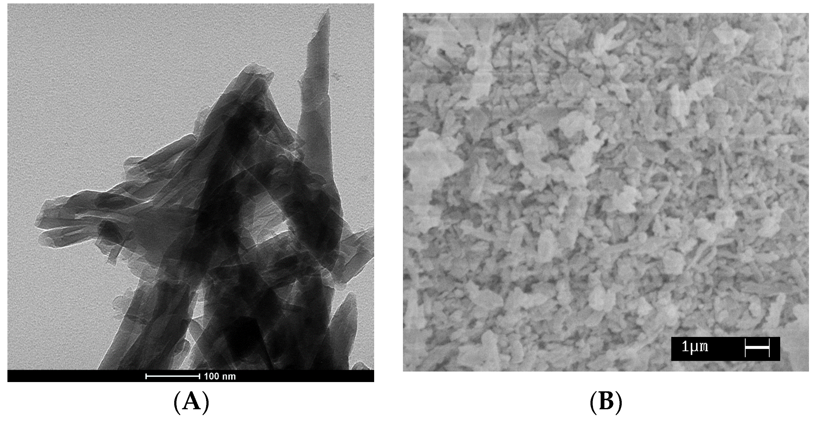 Nanomaterials 07 00213 g001