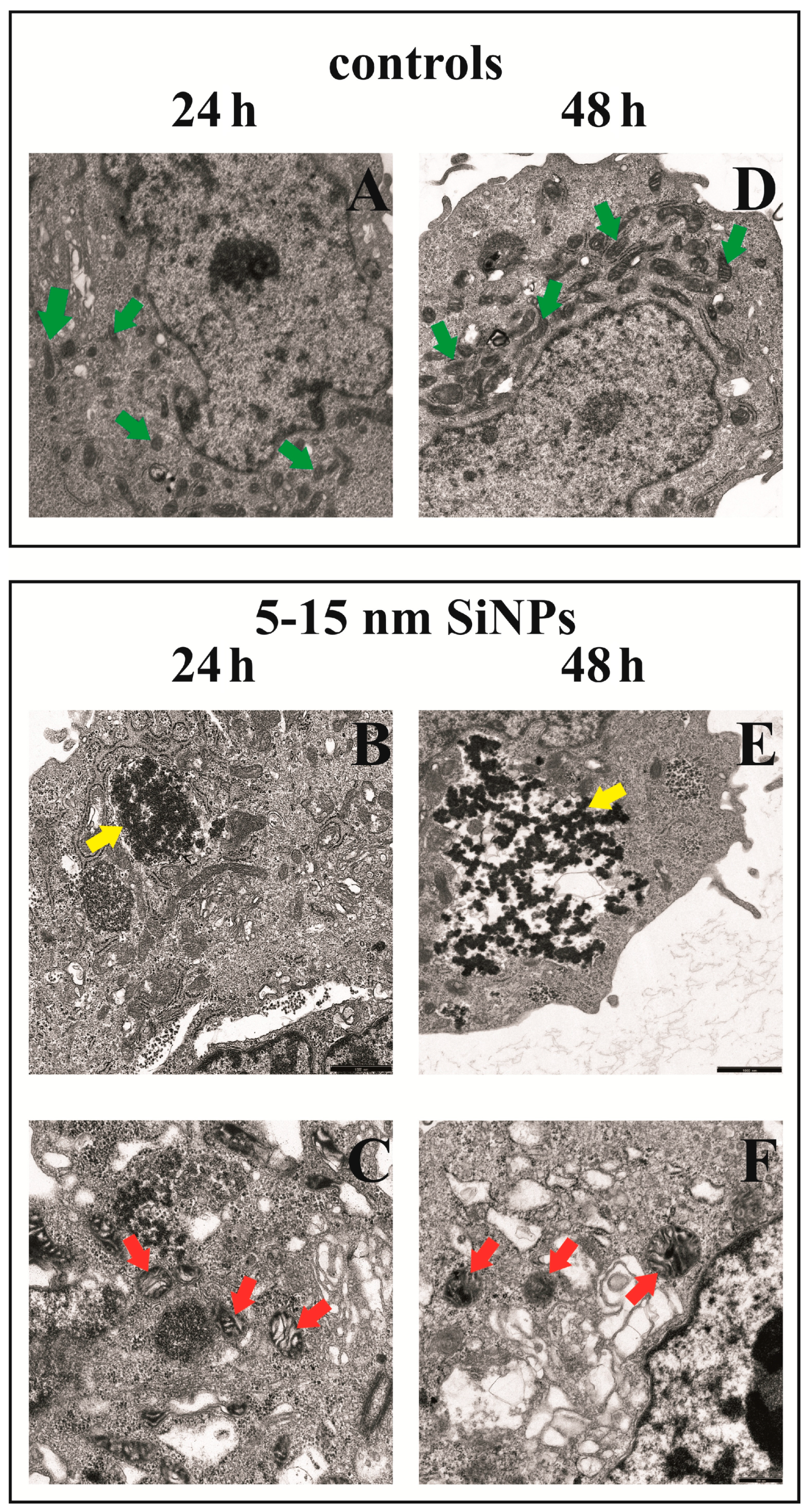 Nanomaterials 07 00230 g005 Nanomaterials 07 00230 g005