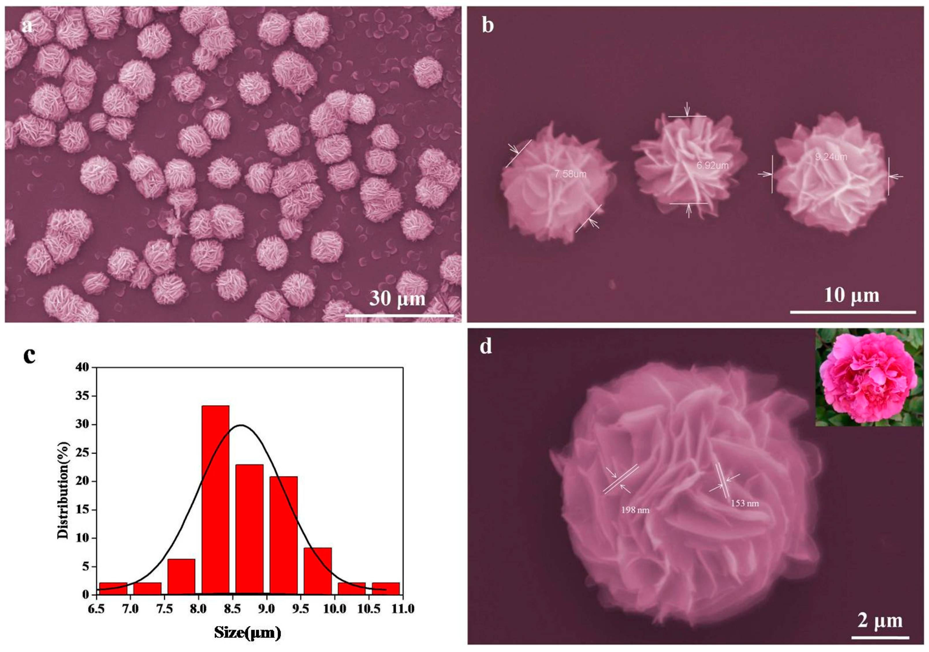 Nanomaterials 07 00237 g003