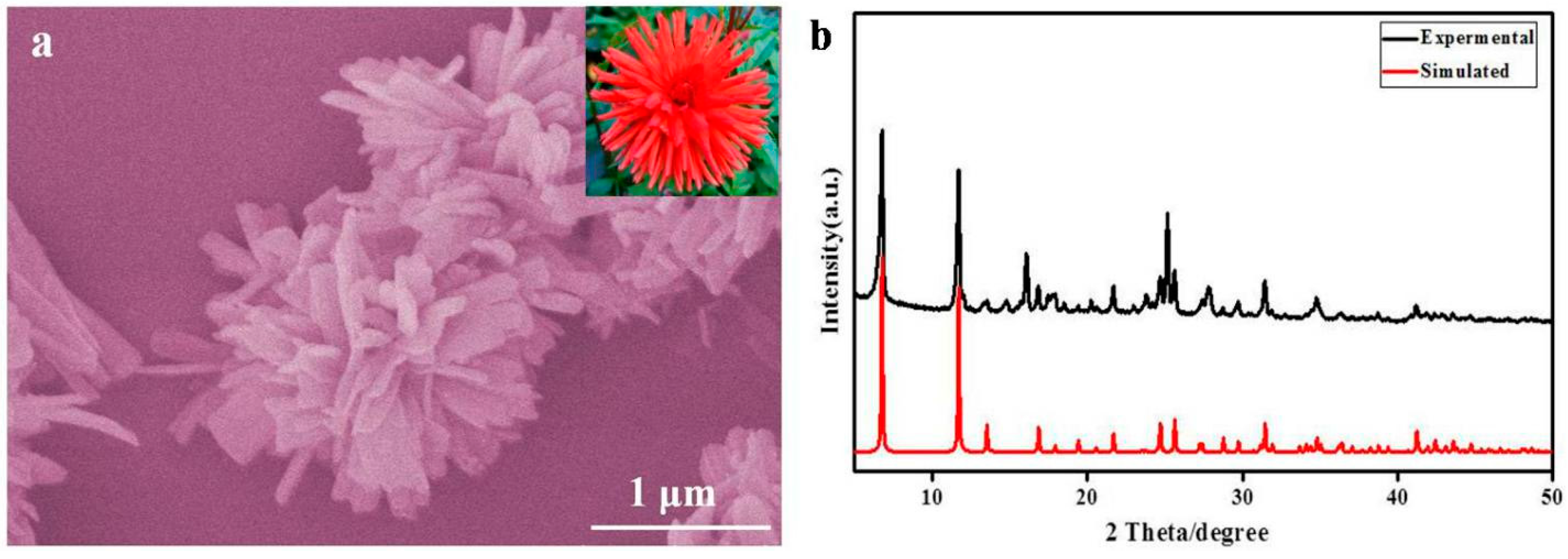 Nanomaterials 07 00237 g007