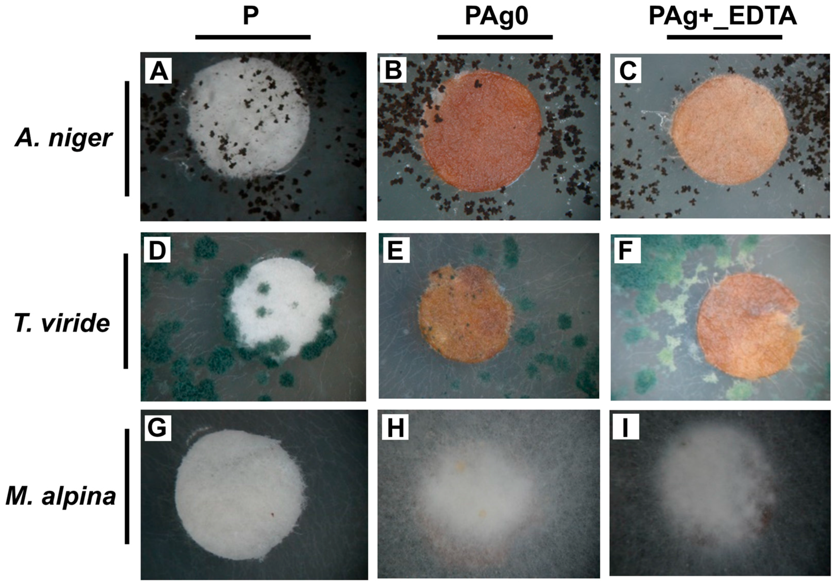 Nanomaterials 07 00240 g003