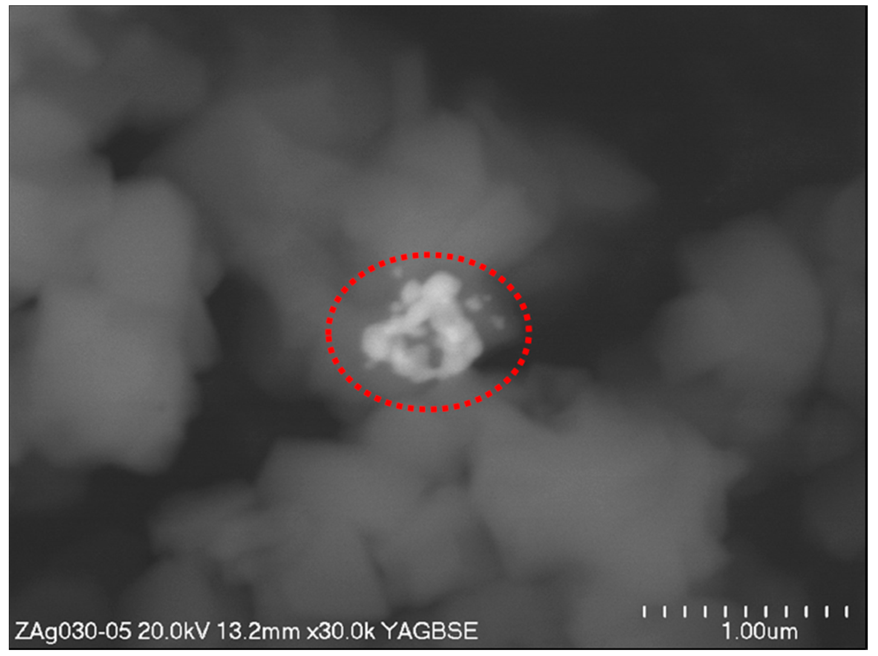 Nanomaterials 07 00240 g004