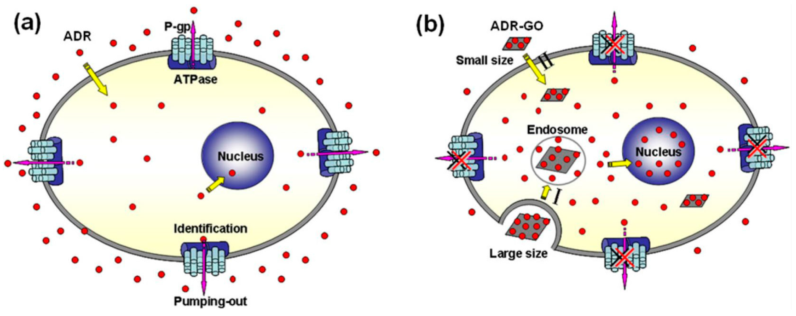 Nanomaterials 07 00246 g001