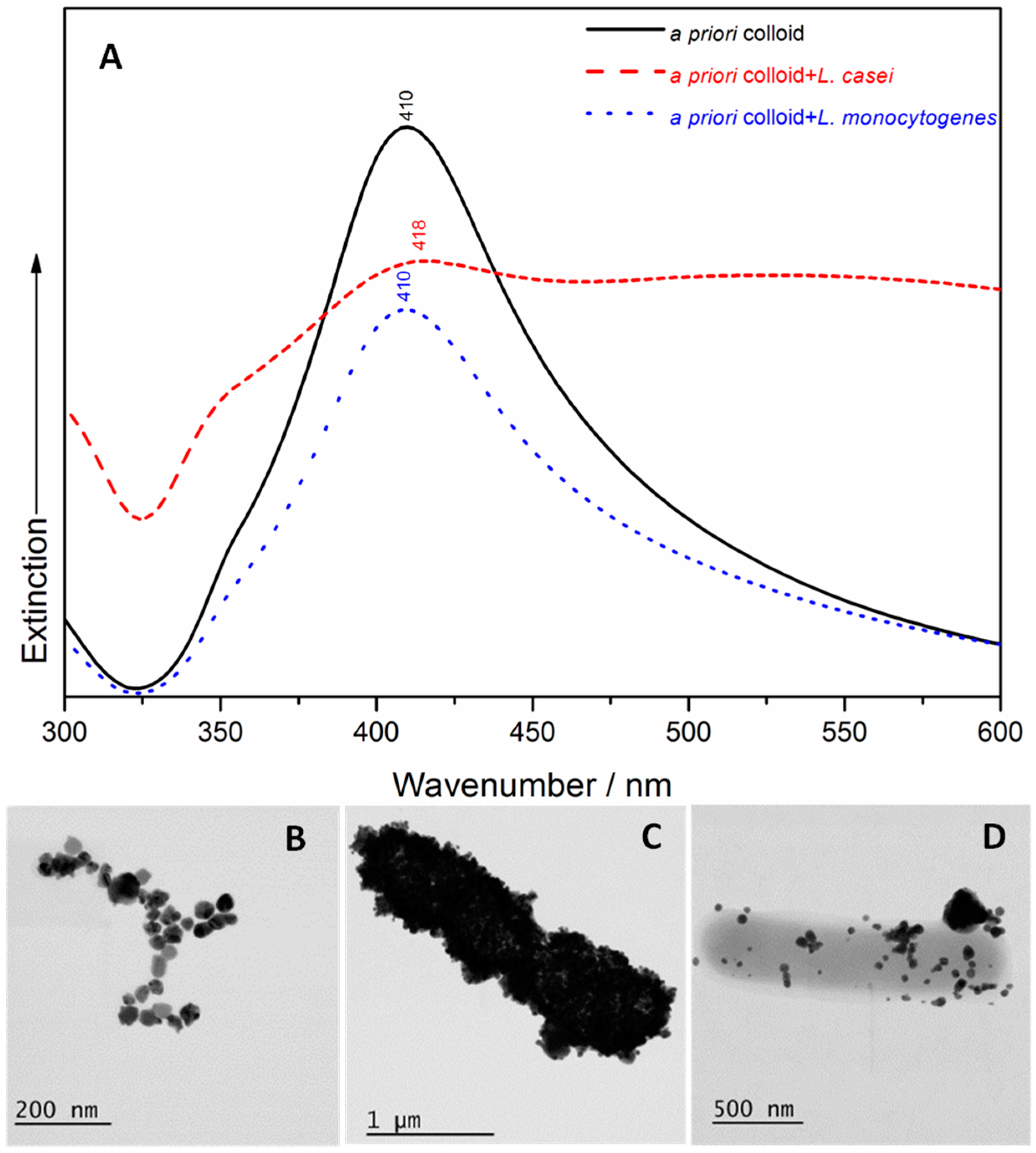 Nanomaterials 07 00248 g001