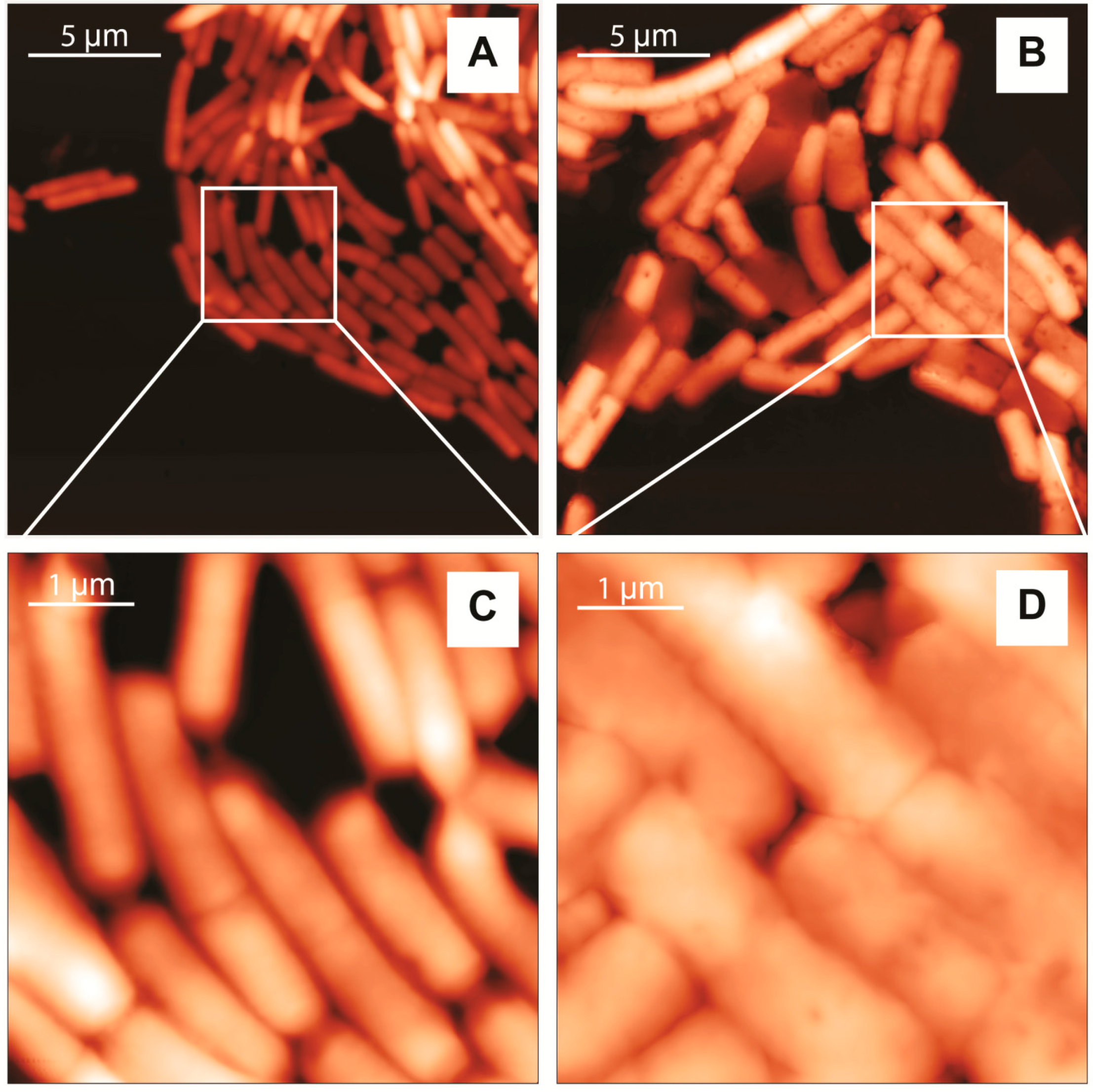 Nanomaterials 07 00248 g003