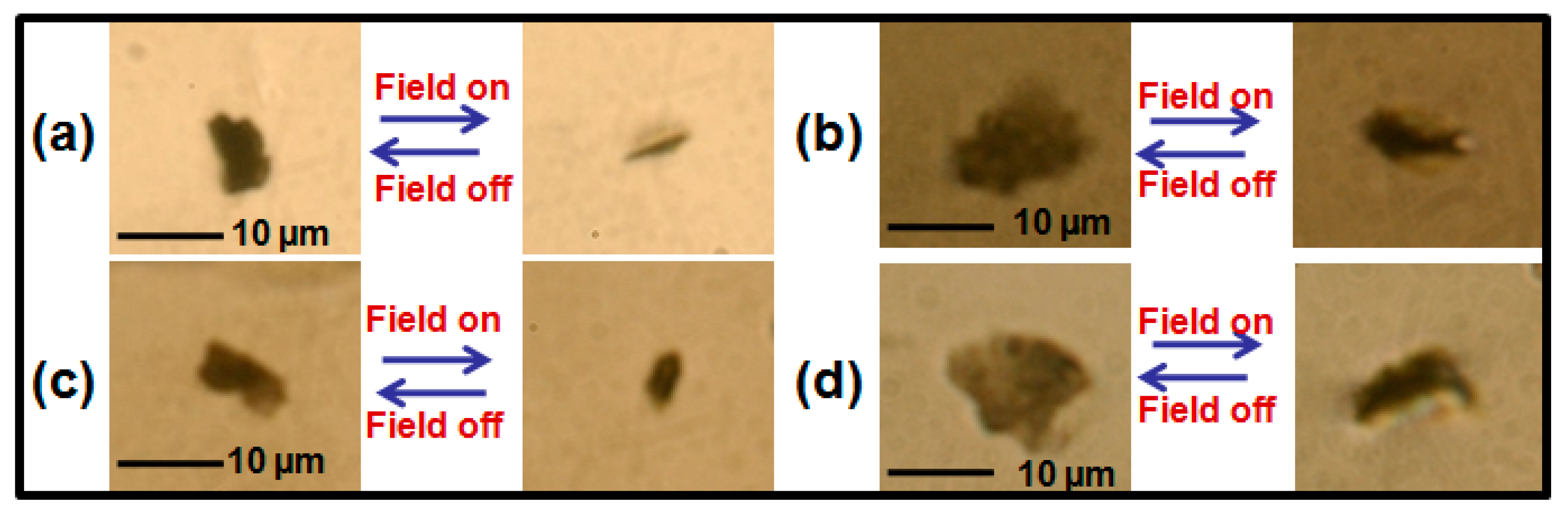 Nanomaterials 07 00250 g001