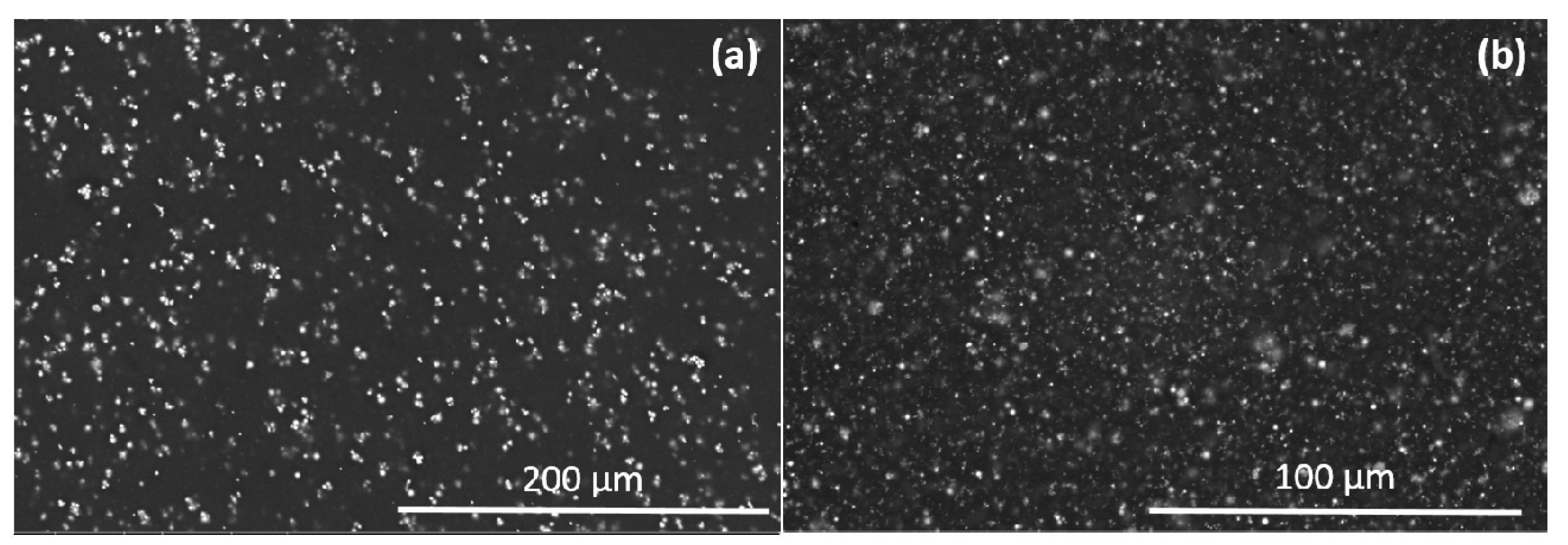 Nanomaterials 07 00254 g007