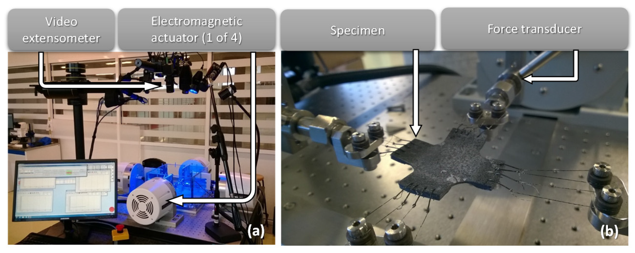 Nanomaterials 07 00254 g008