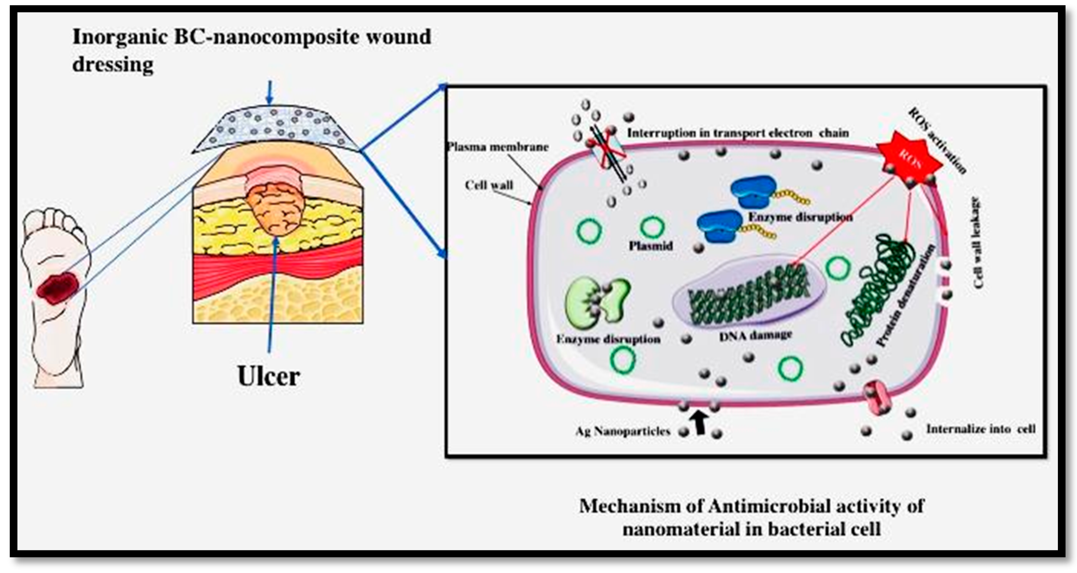 Nanomaterials 07 00257 sch002