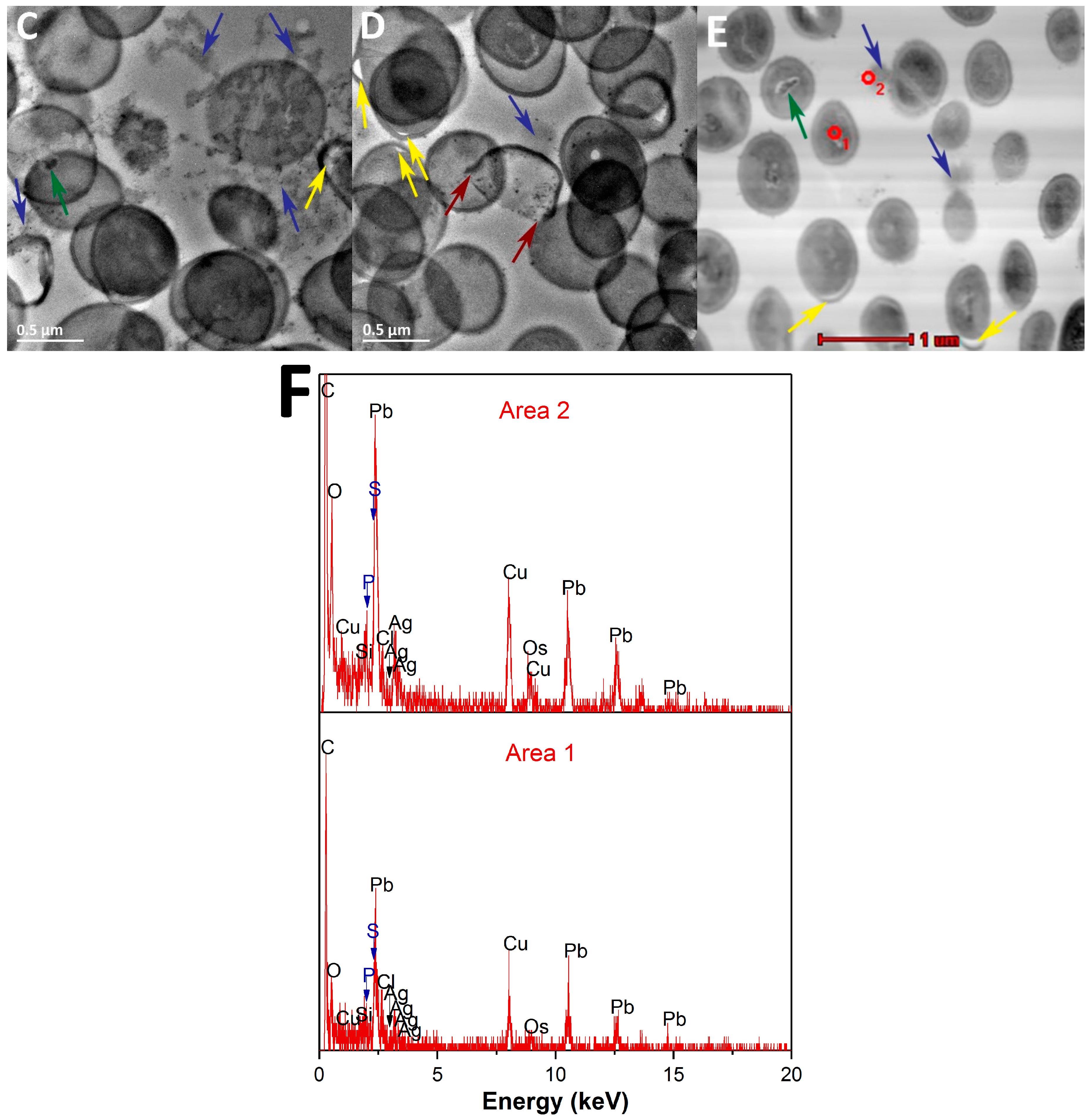 Nanomaterials 07 00261 g008b