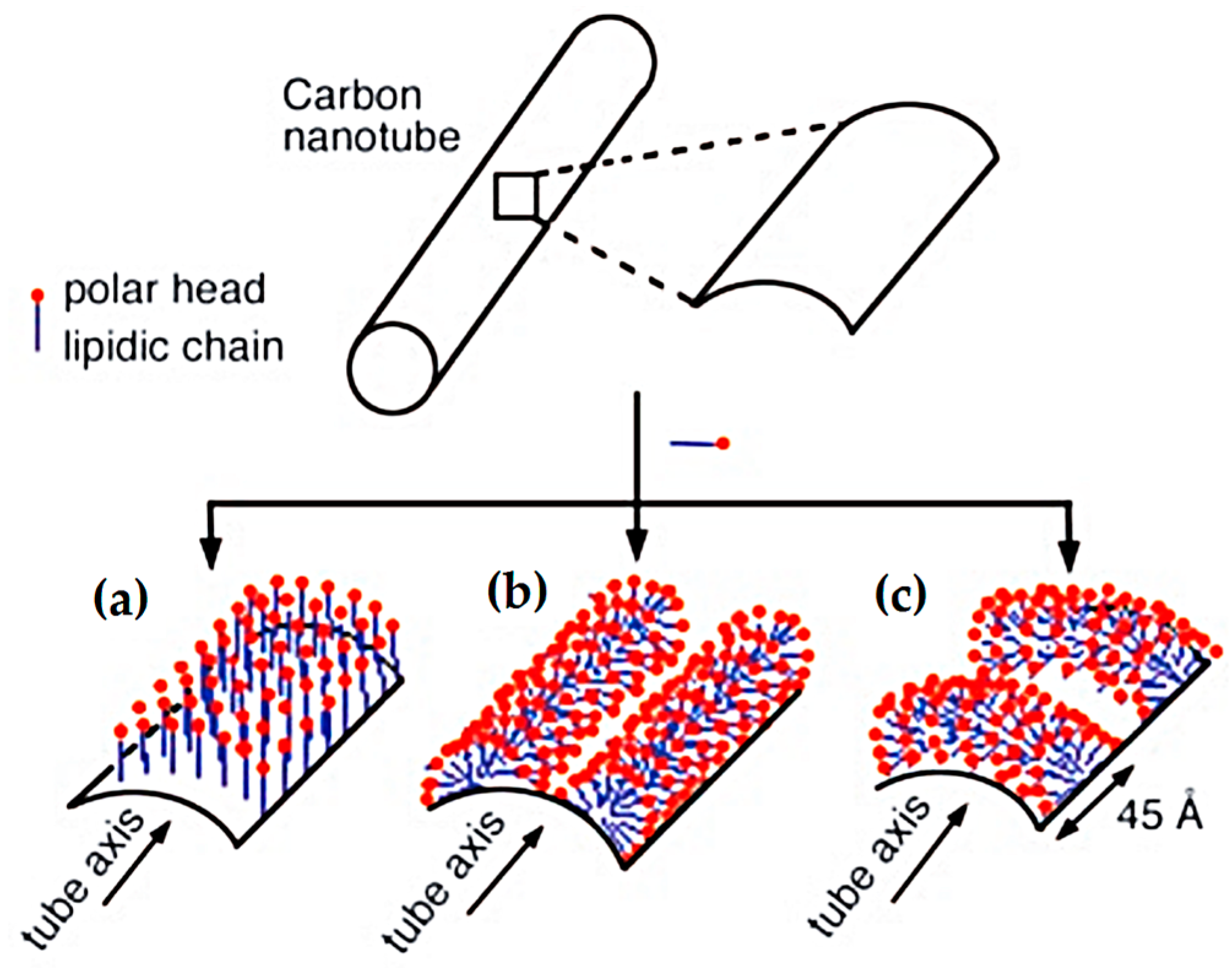 Nanomaterials 07 00267 g012
