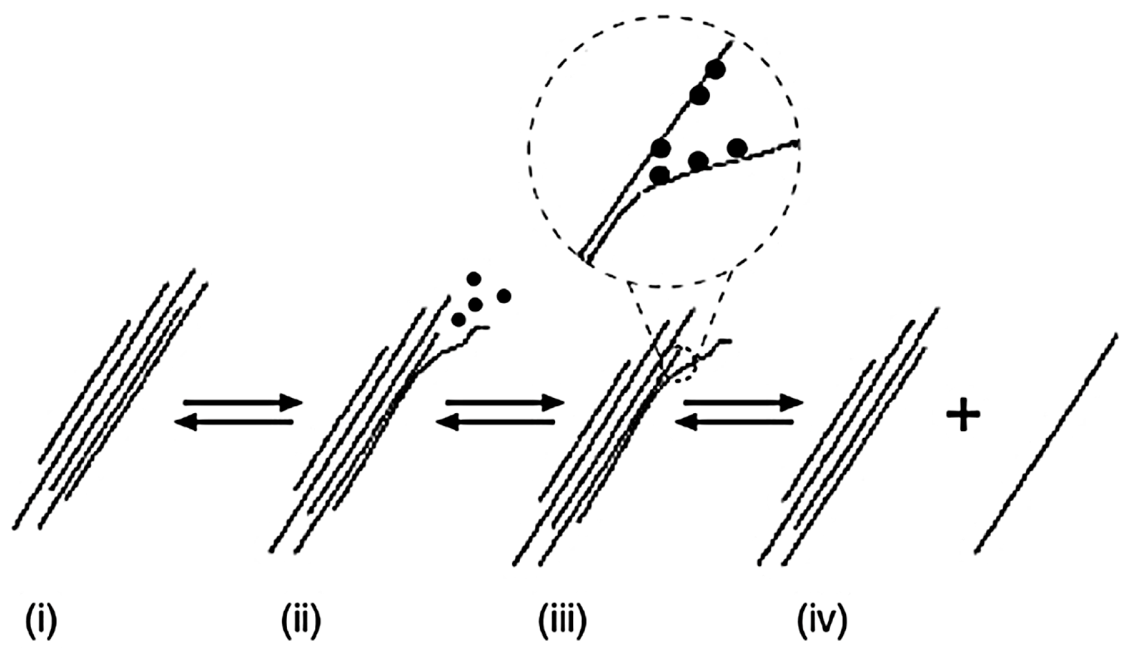 Nanomaterials 07 00267 g013