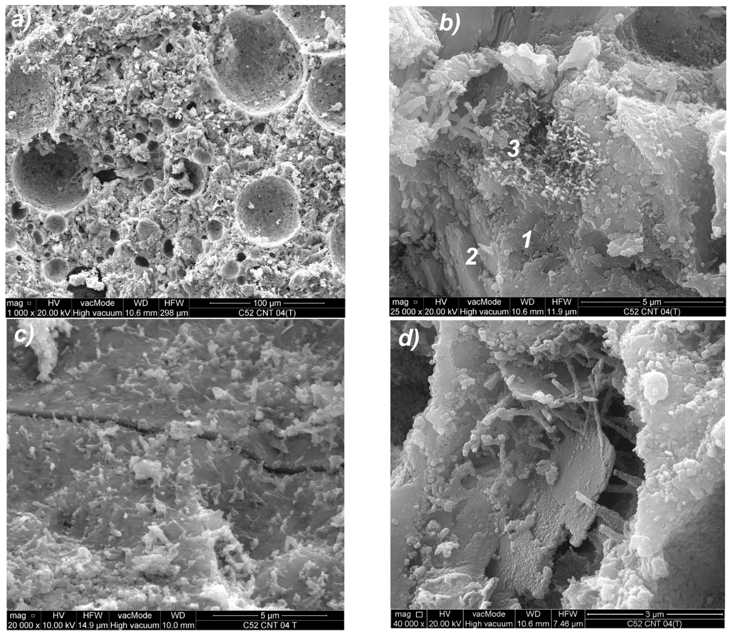 Nanomaterials 07 00267 g018