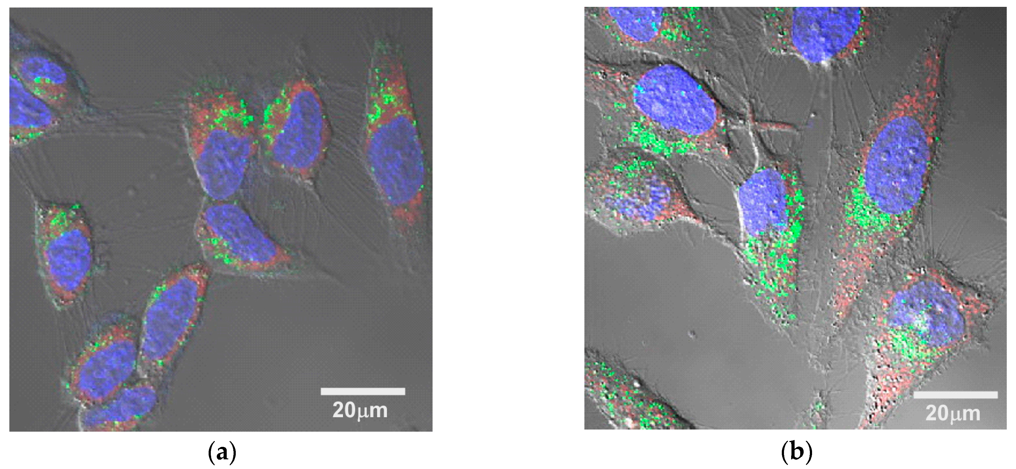 Nanomaterials 07 00268 g003