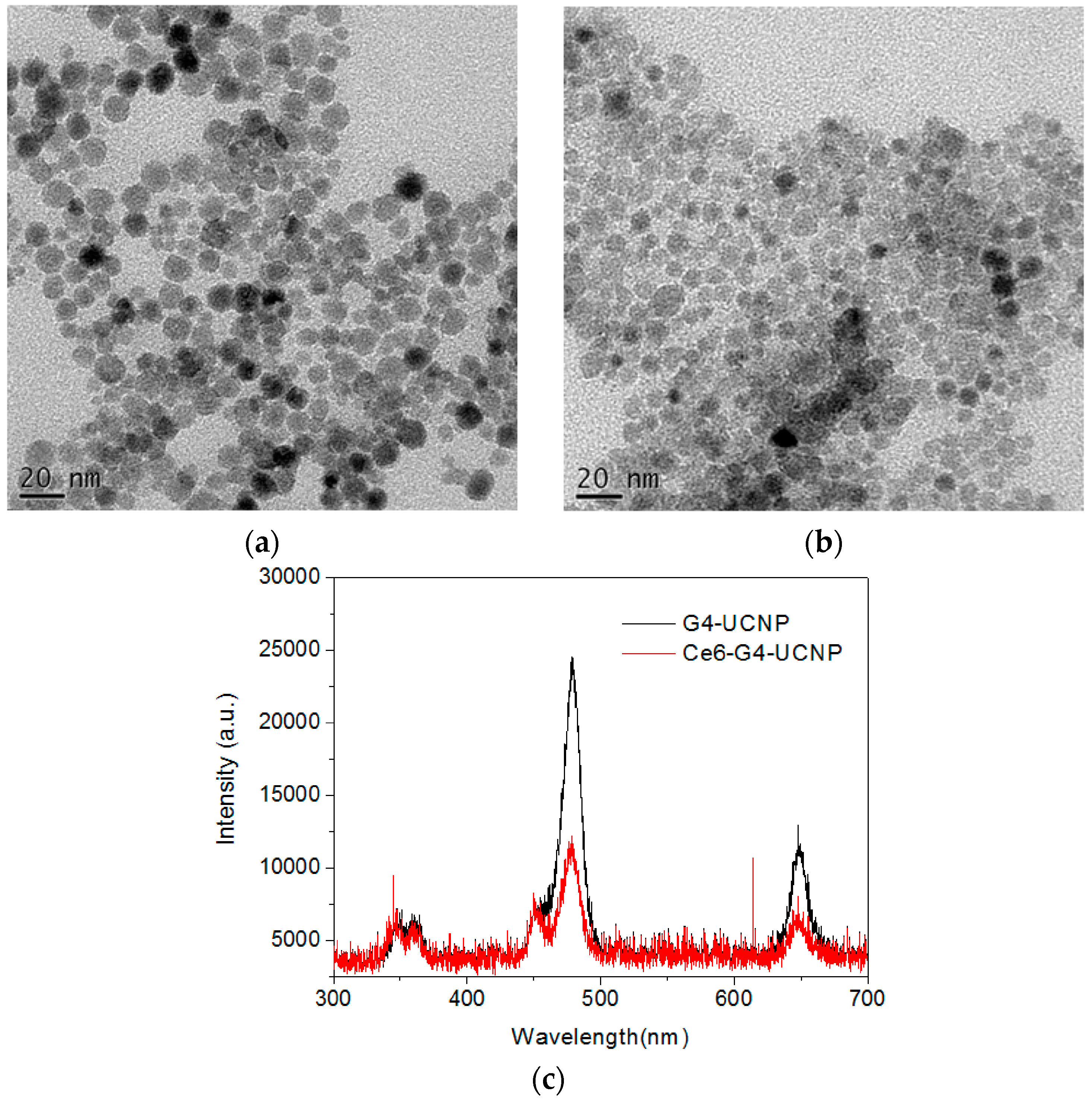 Nanomaterials 07 00269 g002