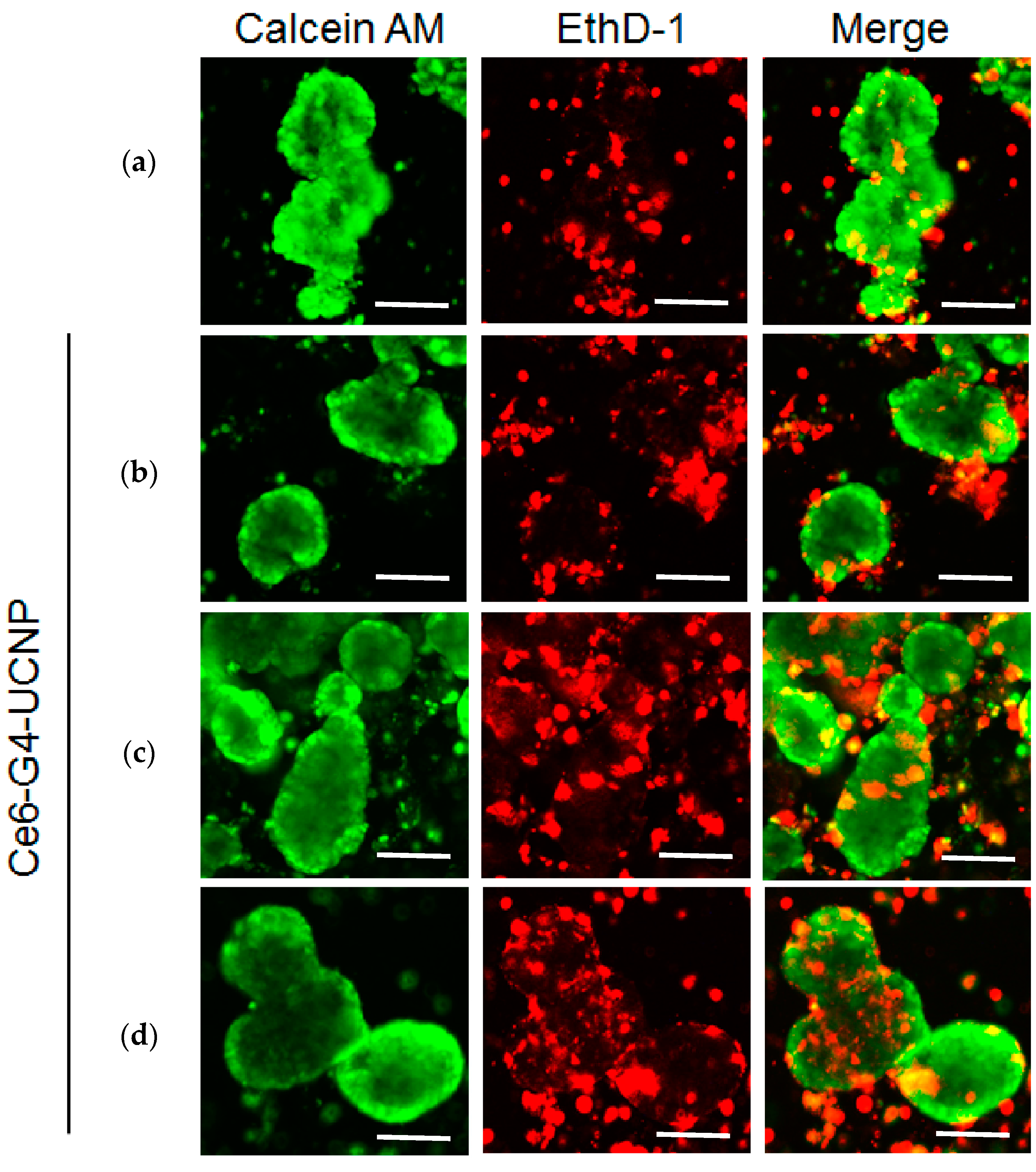 Nanomaterials 07 00269 g006a