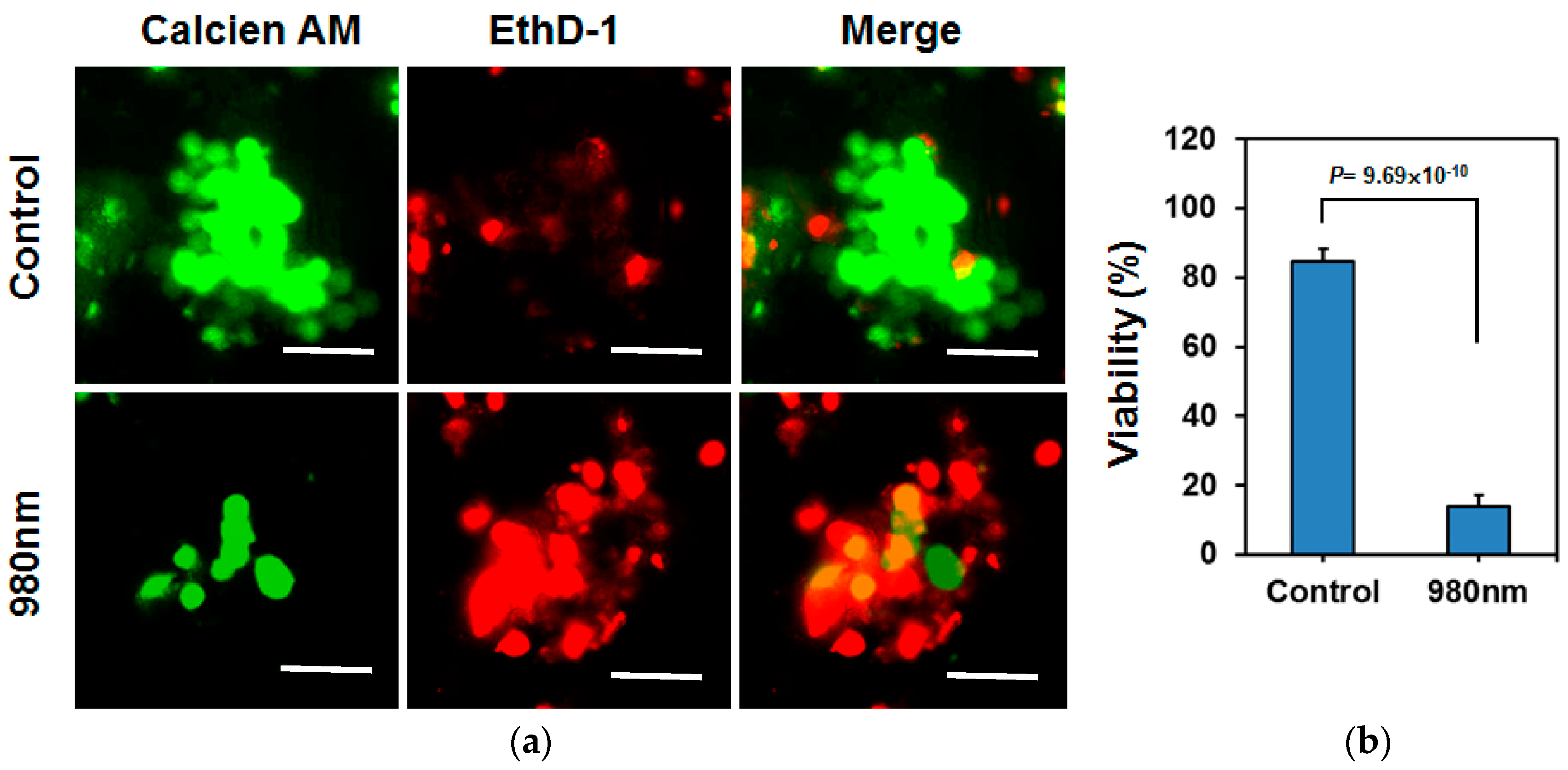 Nanomaterials 07 00269 g007