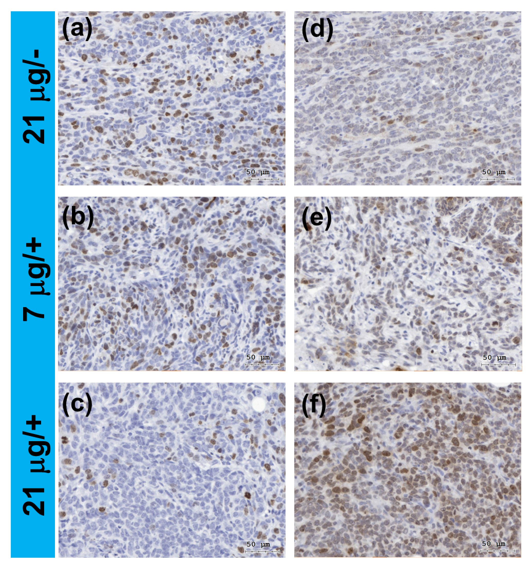 Nanomaterials 07 00269 g008