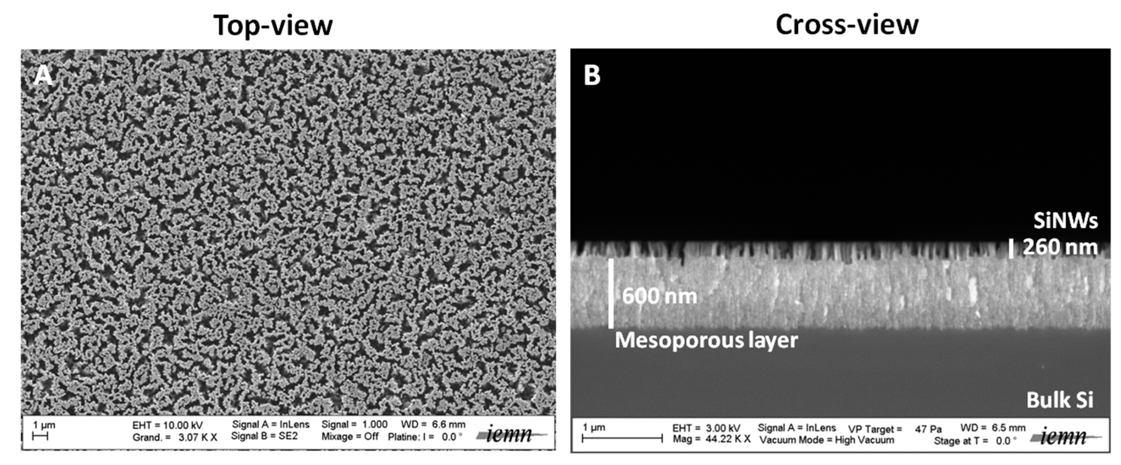 Nanomaterials 07 00272 g001