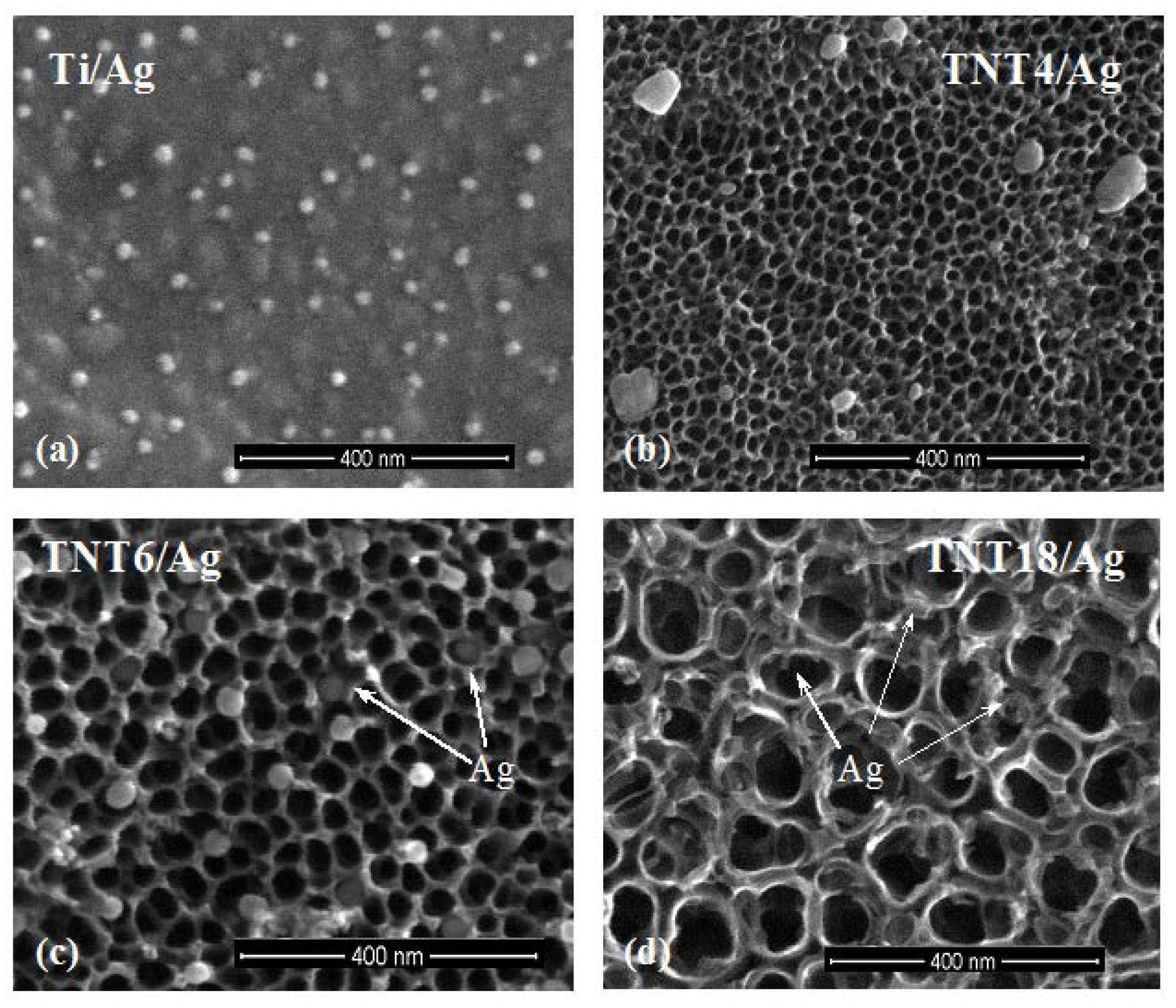 Nanomaterials 07 00274 g001