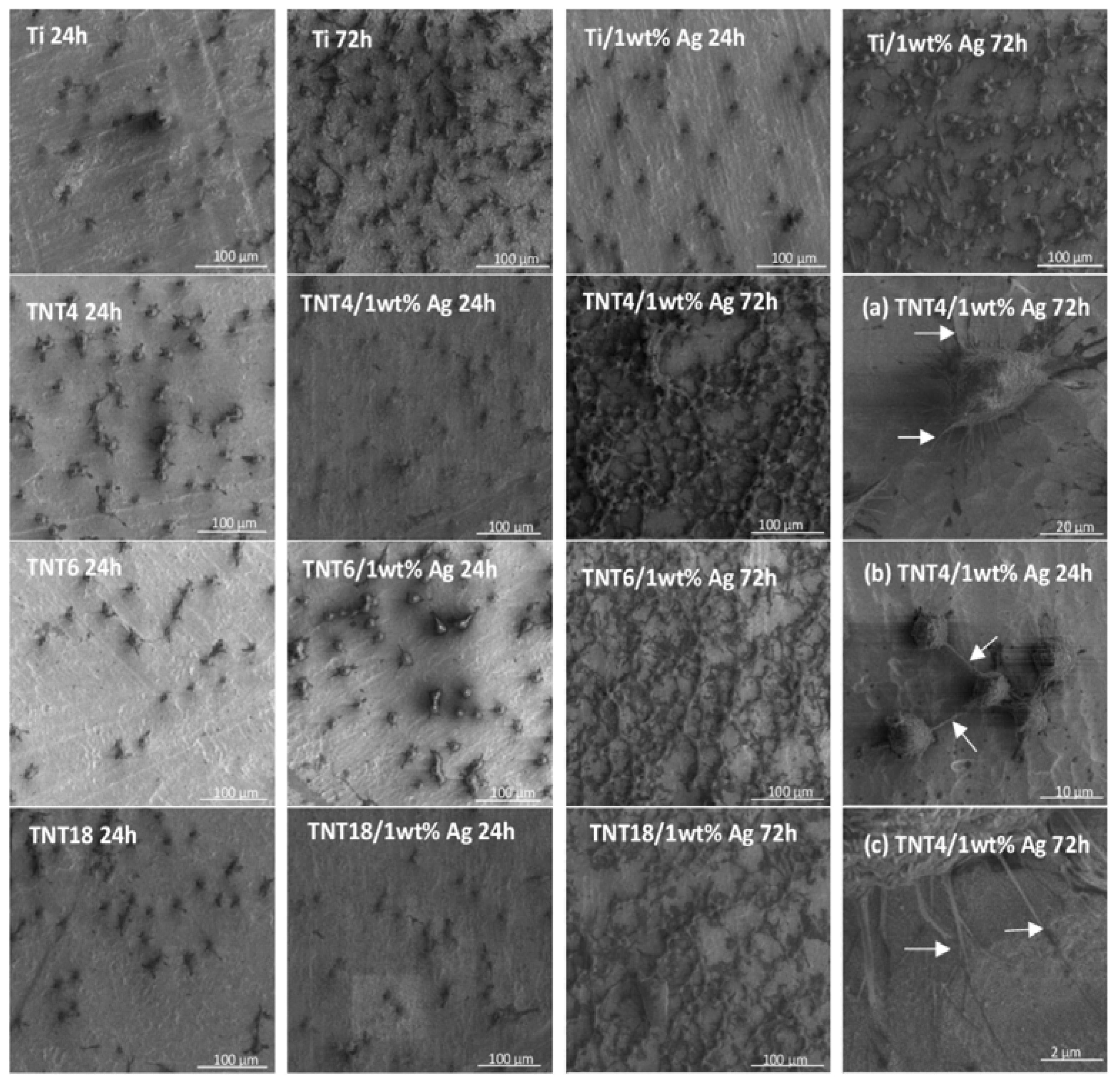 Nanomaterials 07 00274 g005
