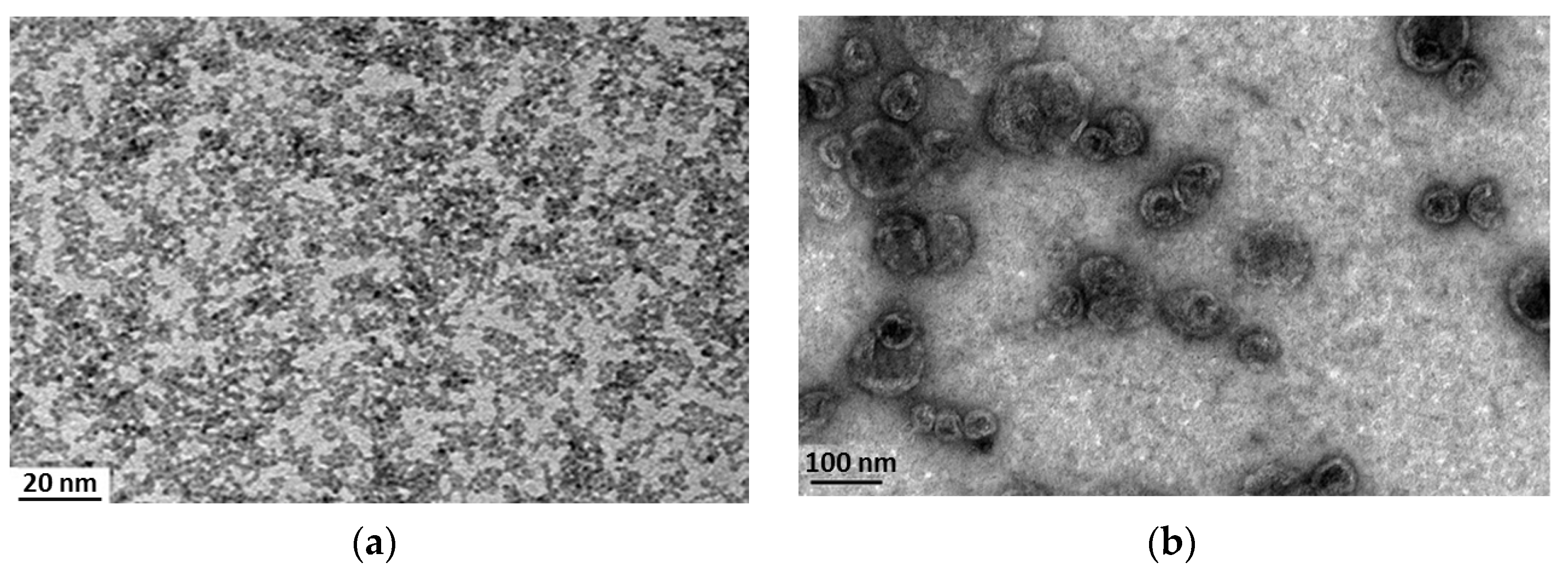 Nanomaterials 07 00276 g001