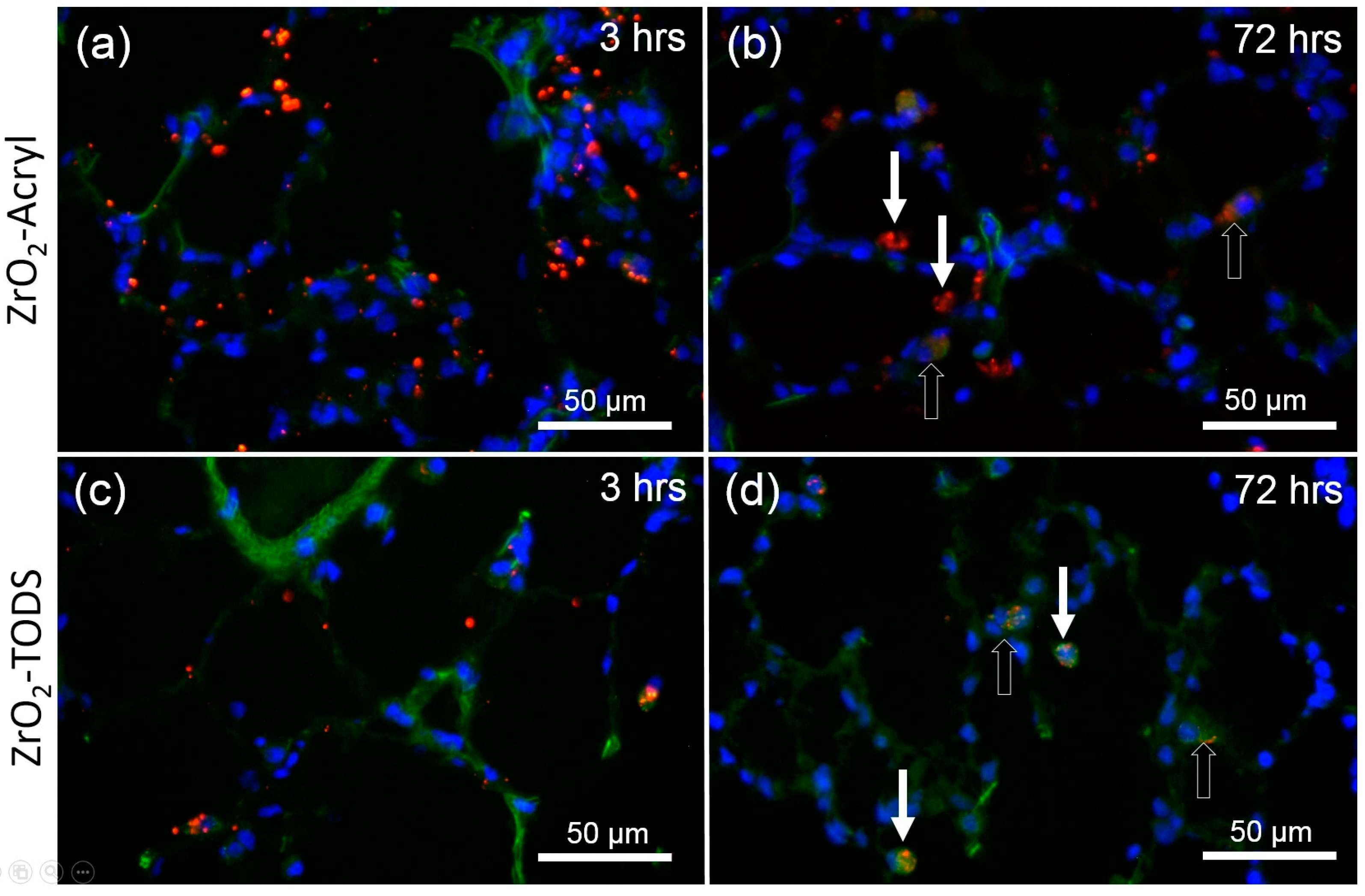 Nanomaterials 07 00280 g005