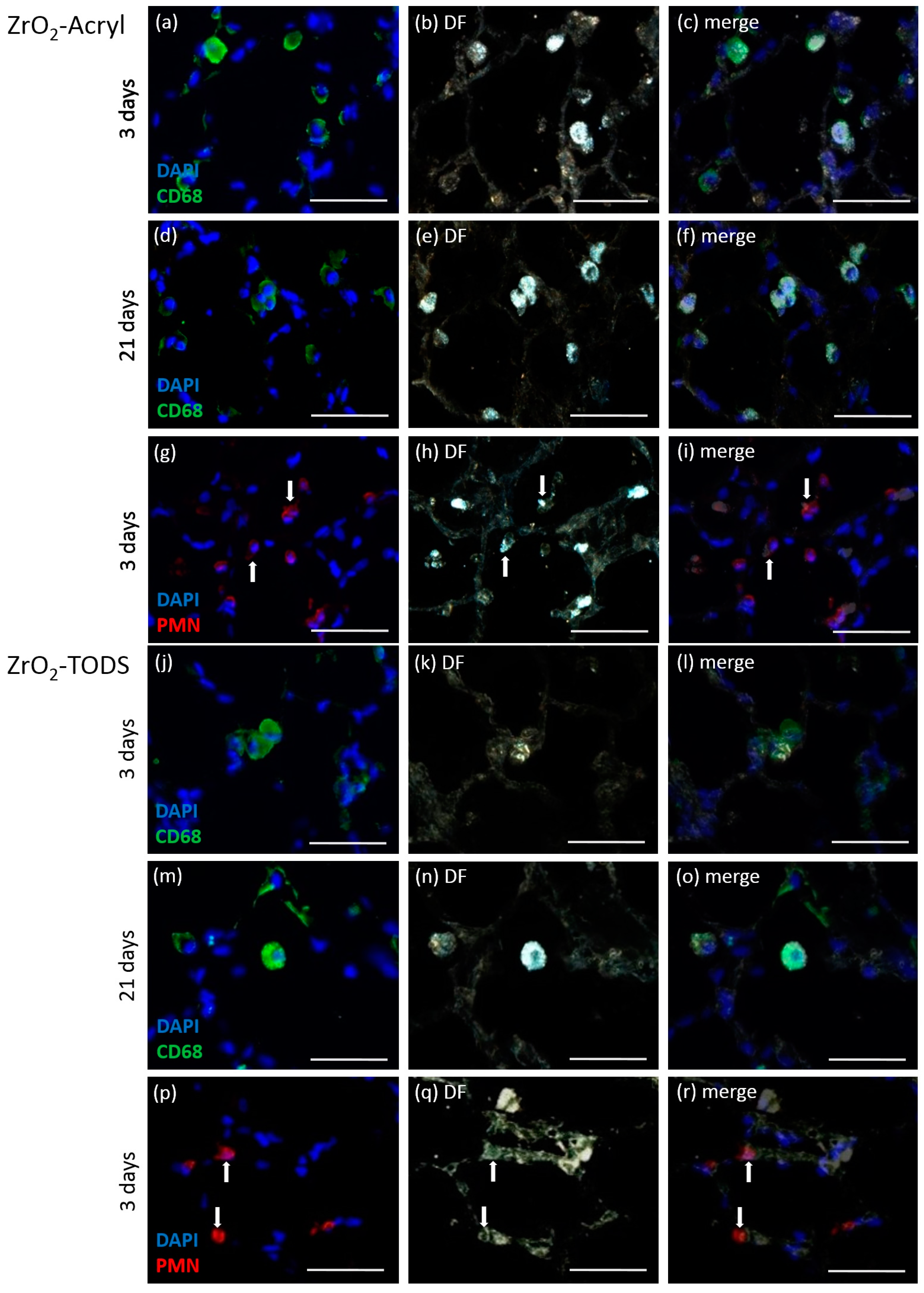 Nanomaterials 07 00280 g006