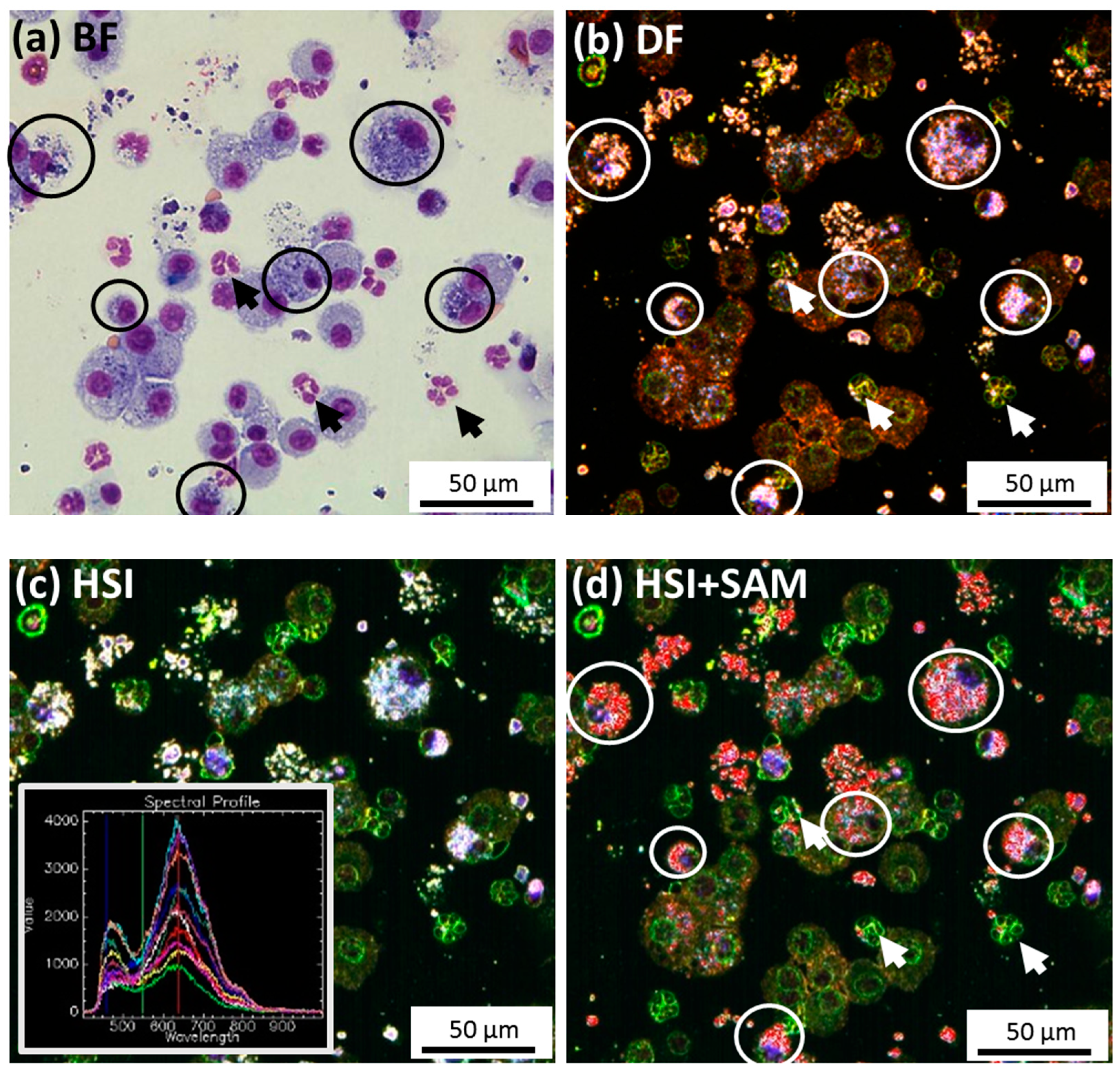 Nanomaterials 07 00280 g008a
