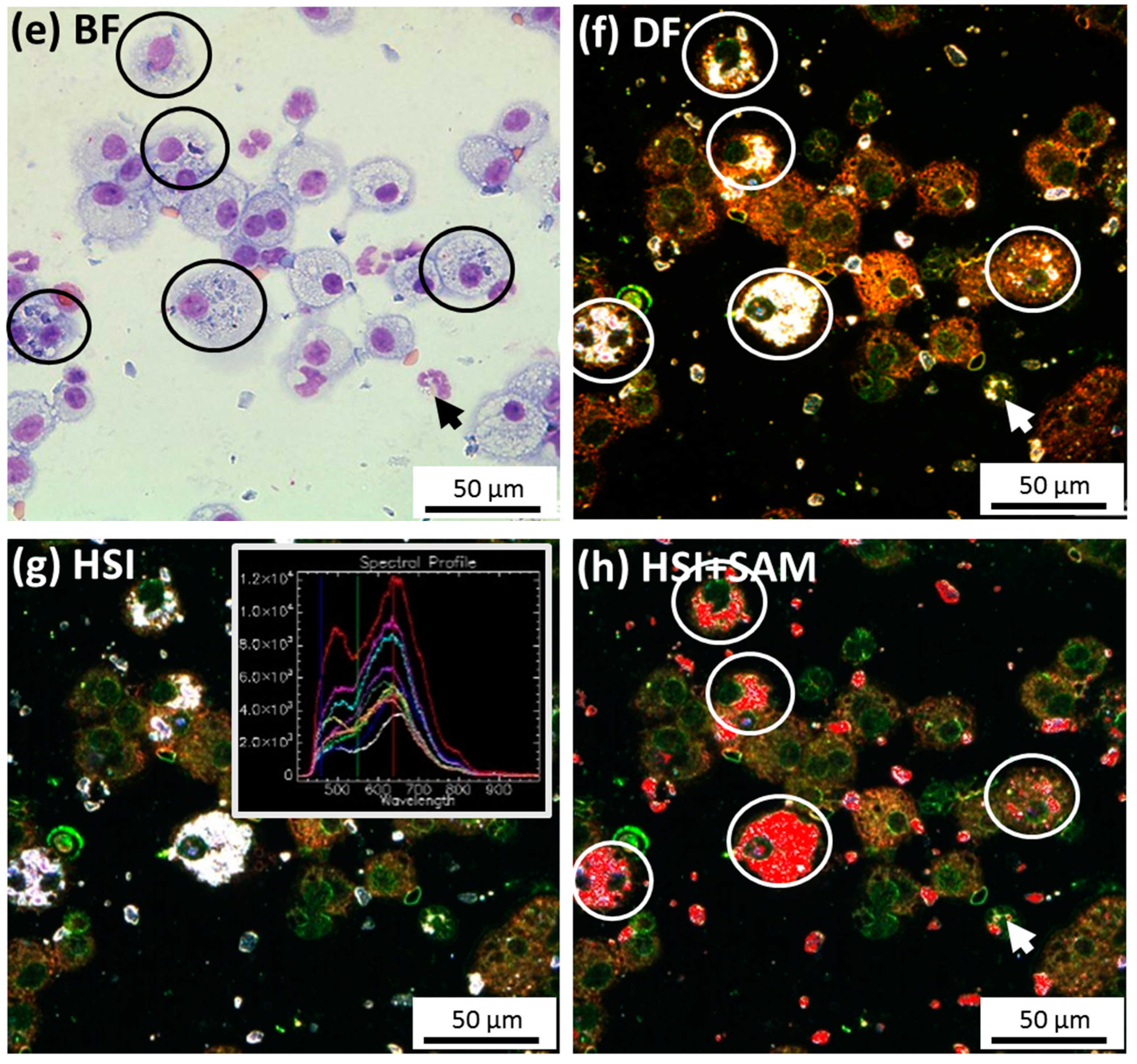 Nanomaterials 07 00280 g008b