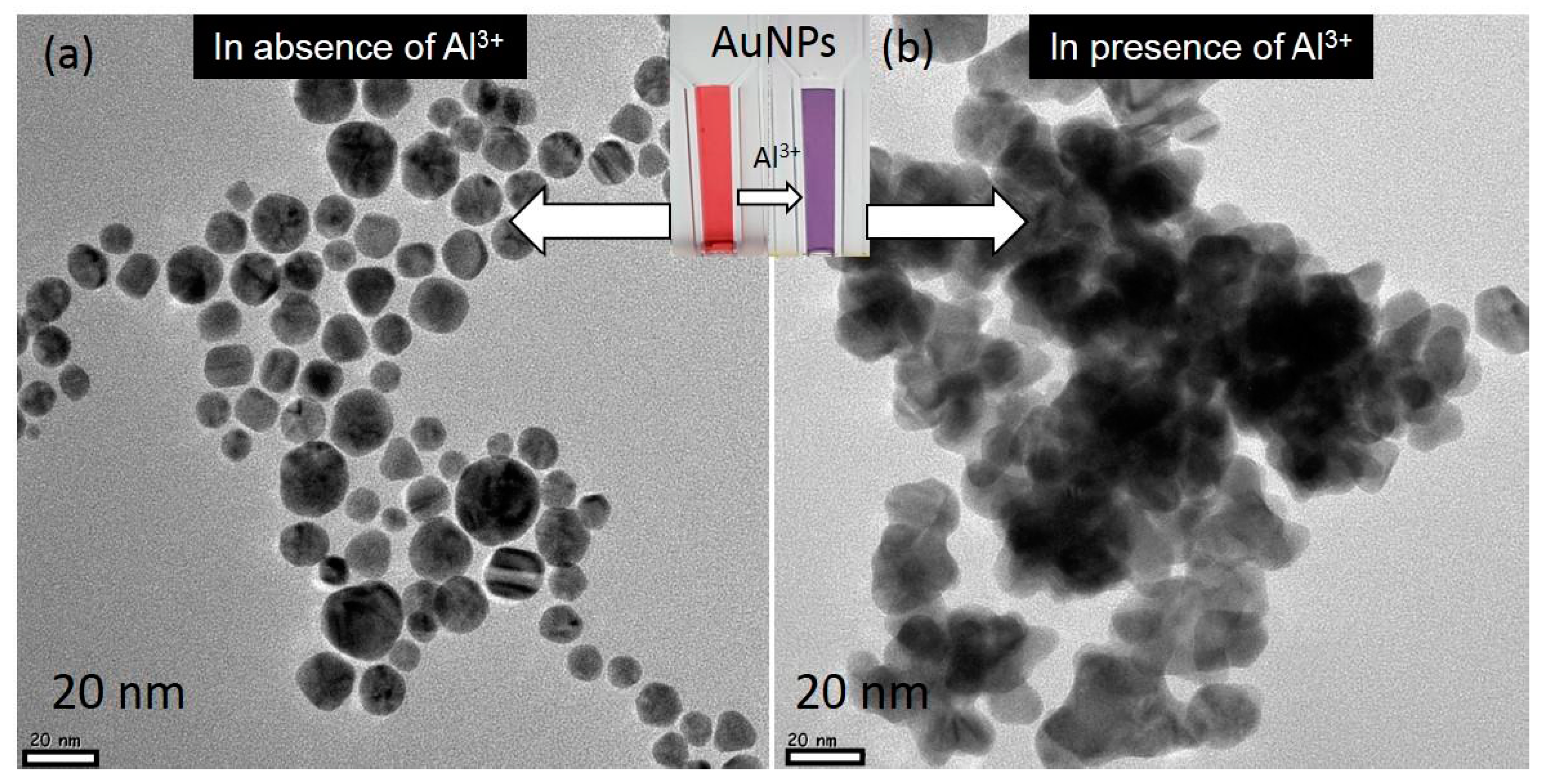 Nanomaterials 07 00287 g003