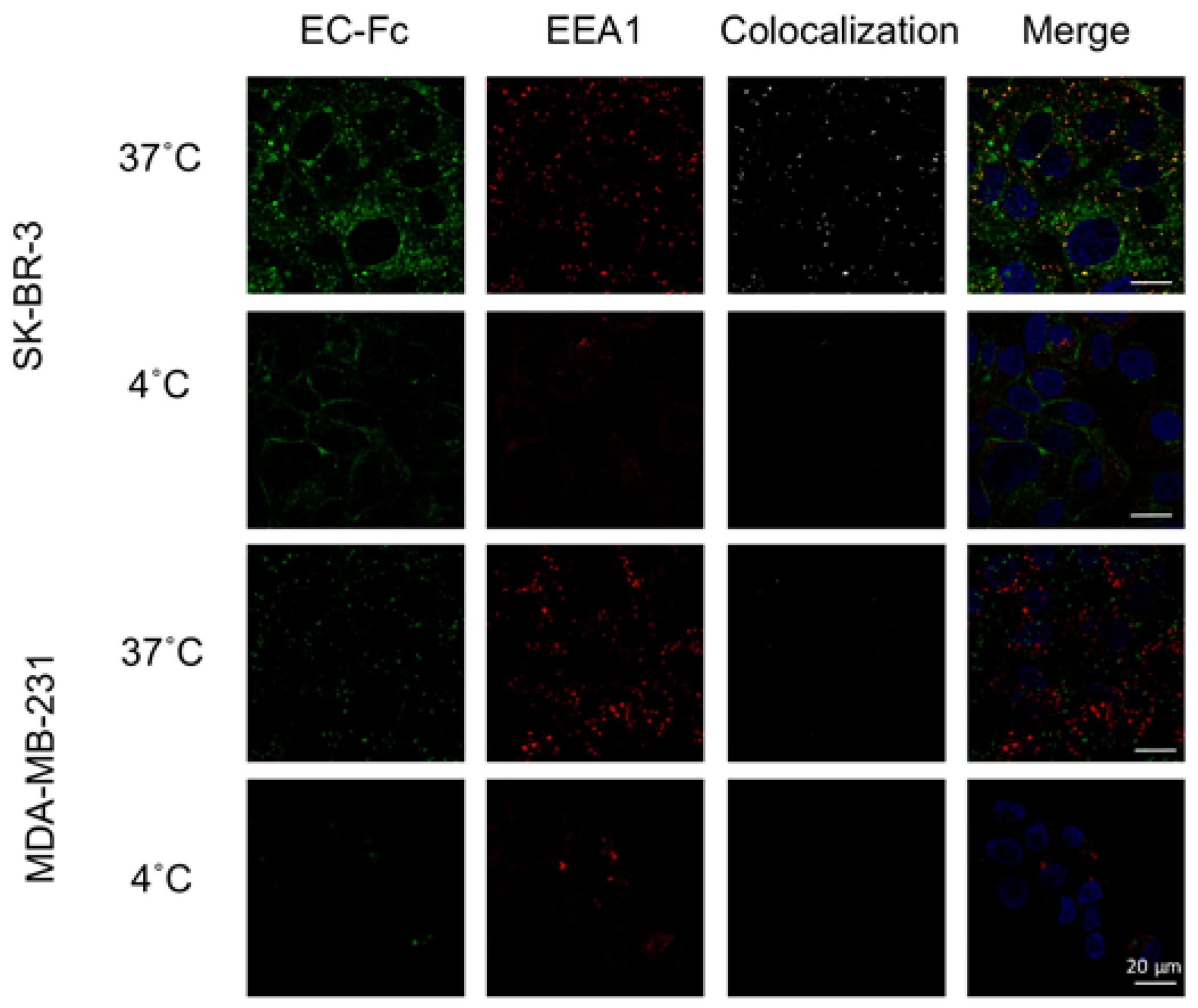 Nanomaterials 07 00290 g005