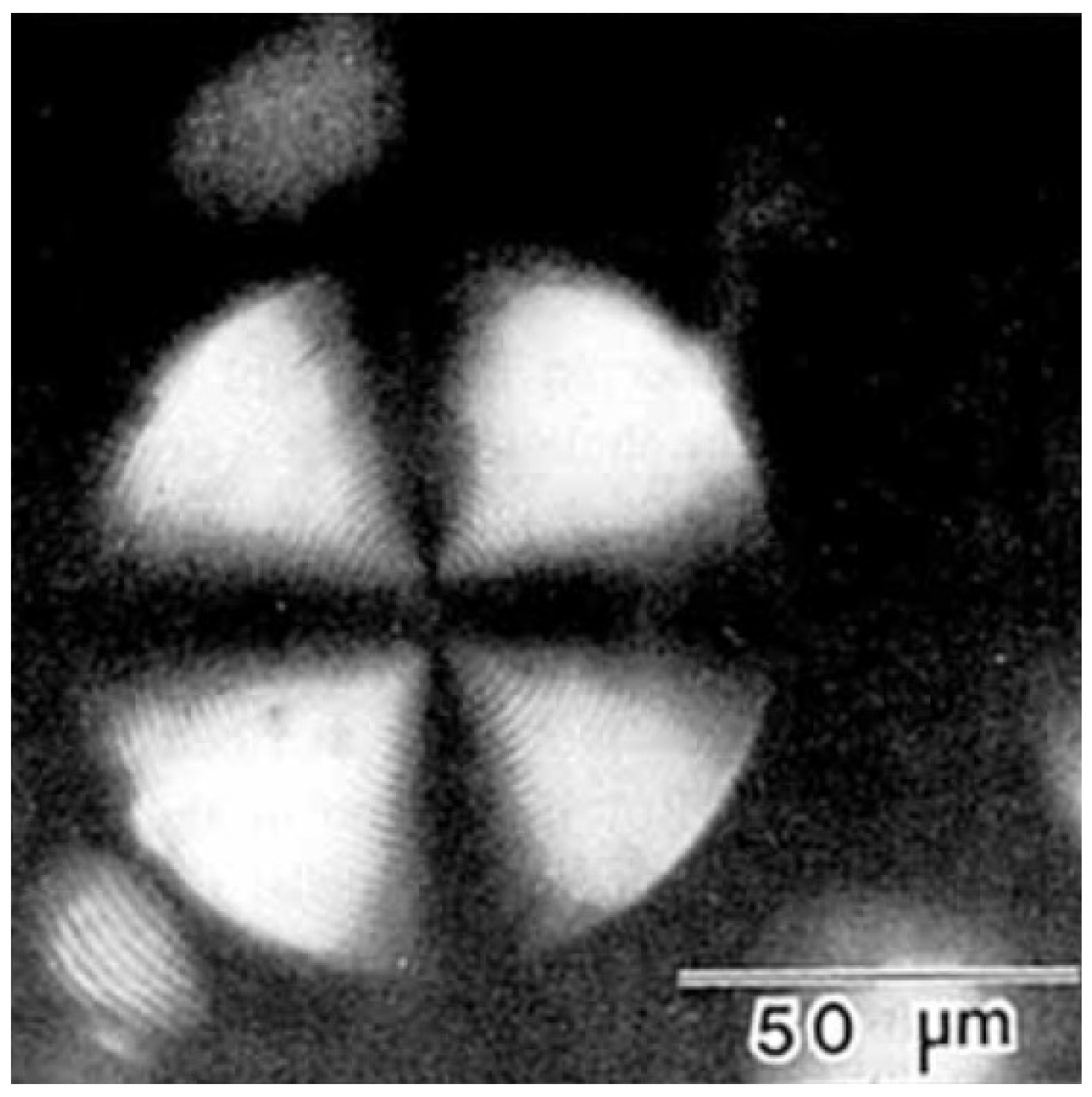 Nanomaterials 07 00305 g010