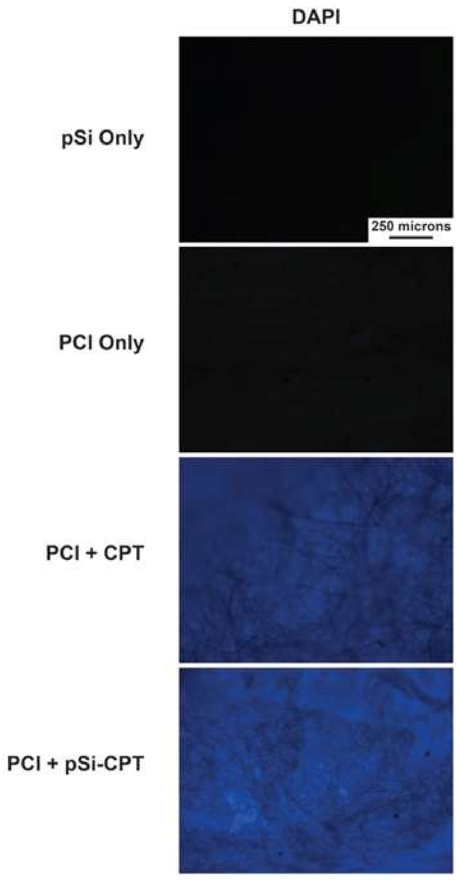 Nanomaterials 08 00205 g005