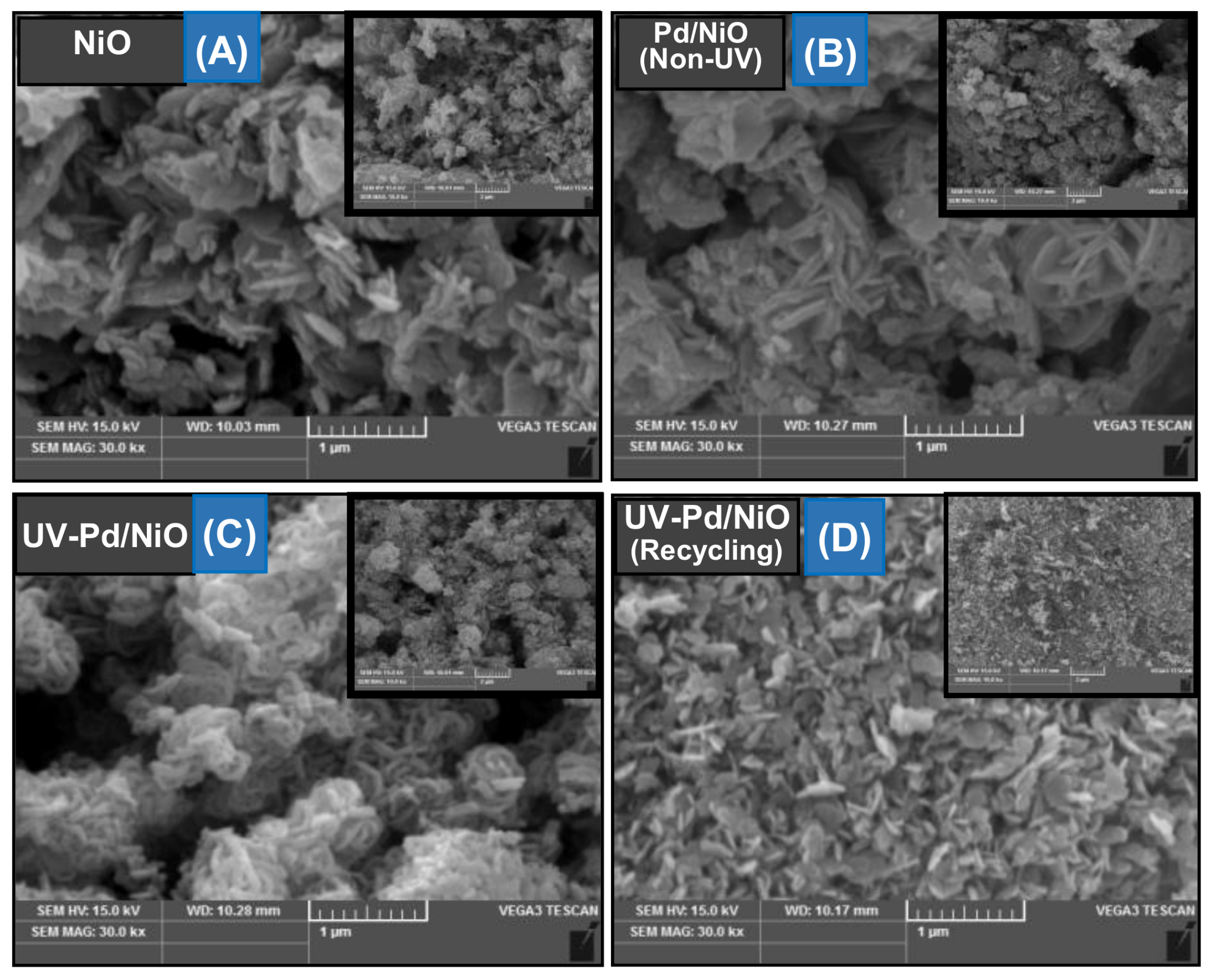 Nanomaterials 08 00240 g003