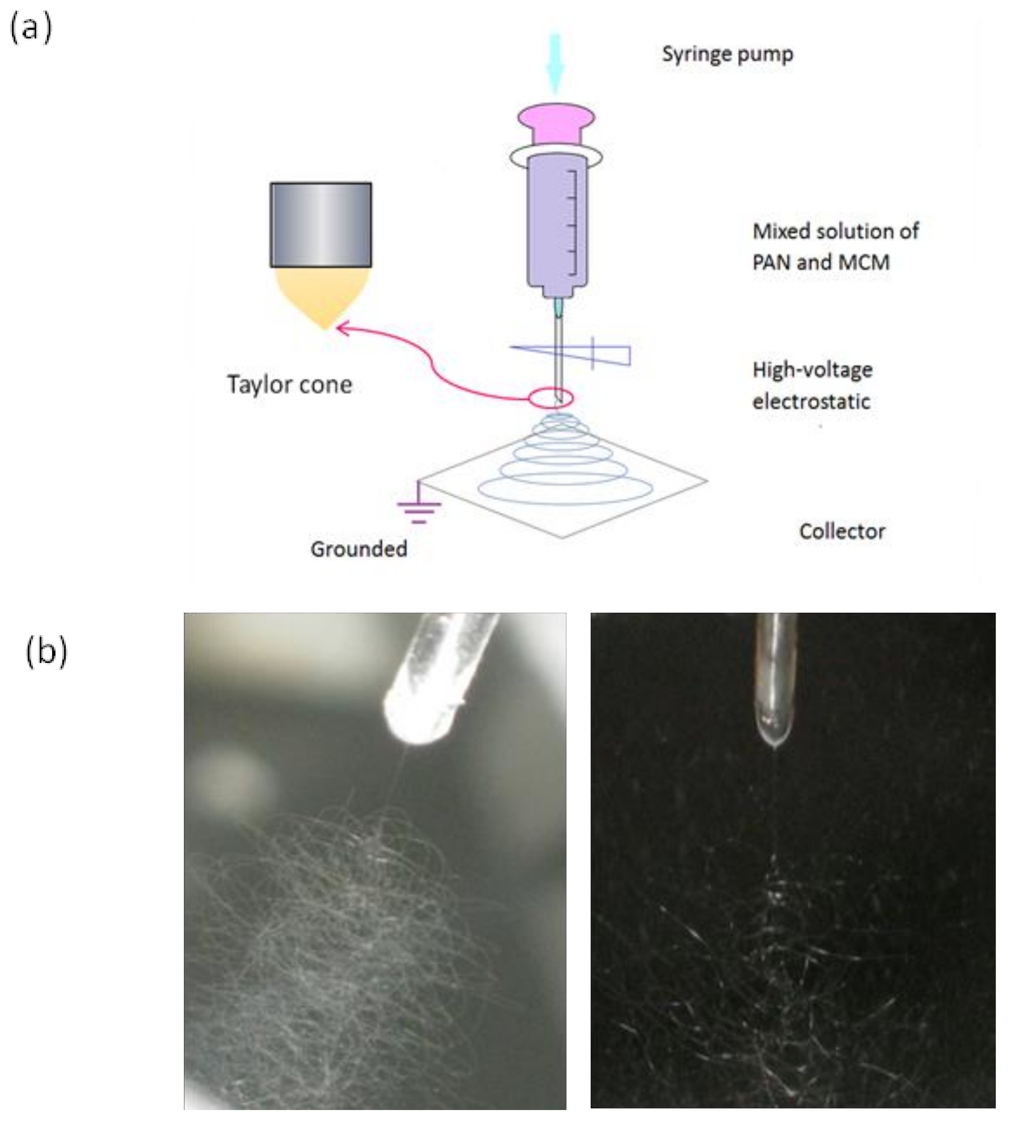 Nanomaterials 08 00350 g002