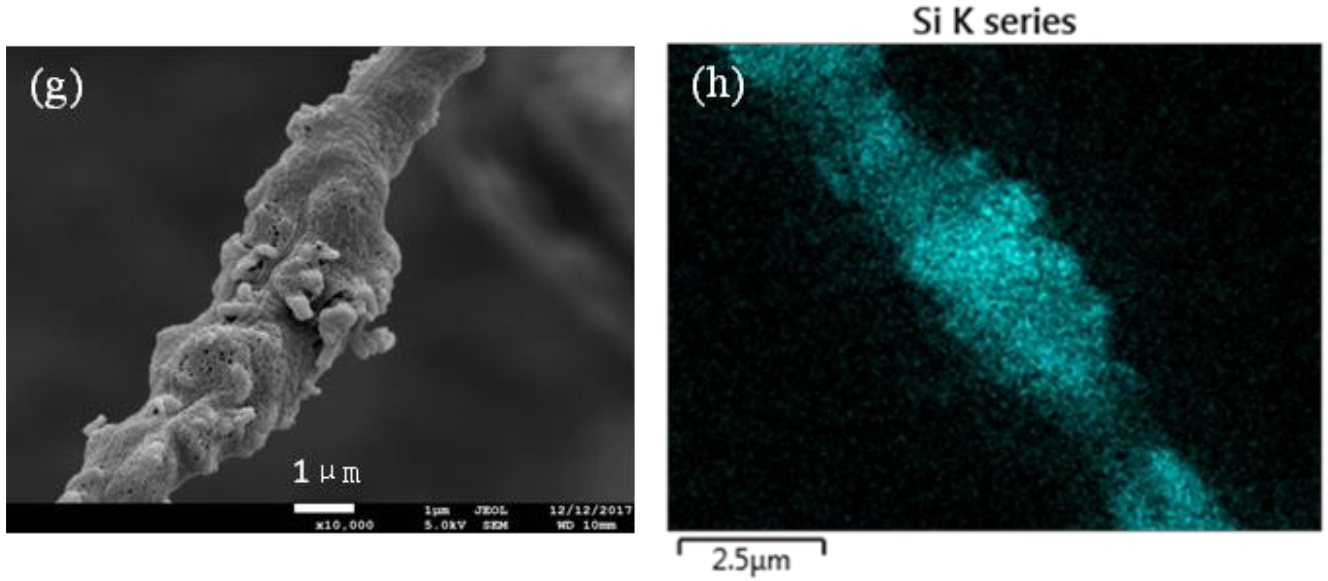 Nanomaterials 08 00350 g003b