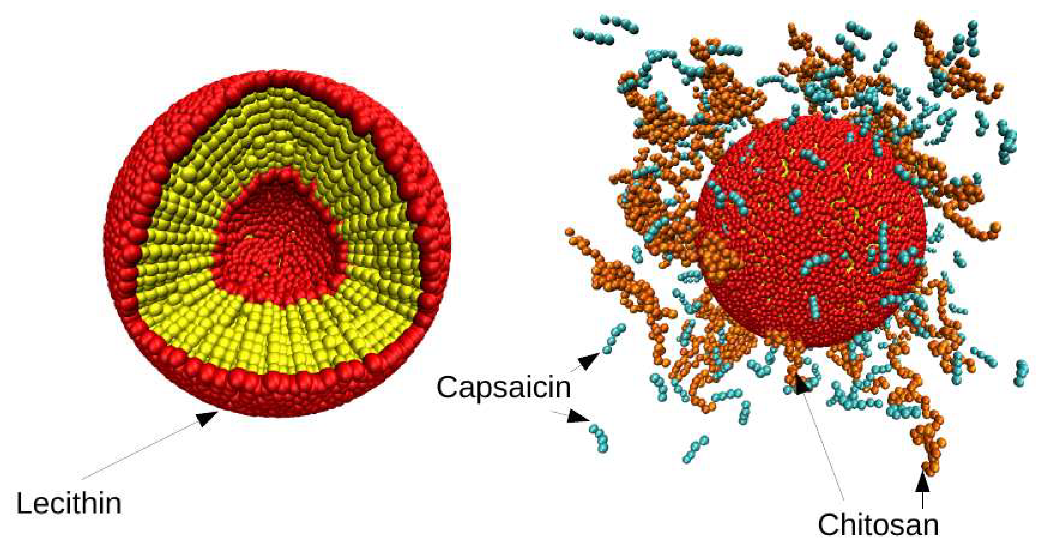 Nanomaterials 08 00425 g002