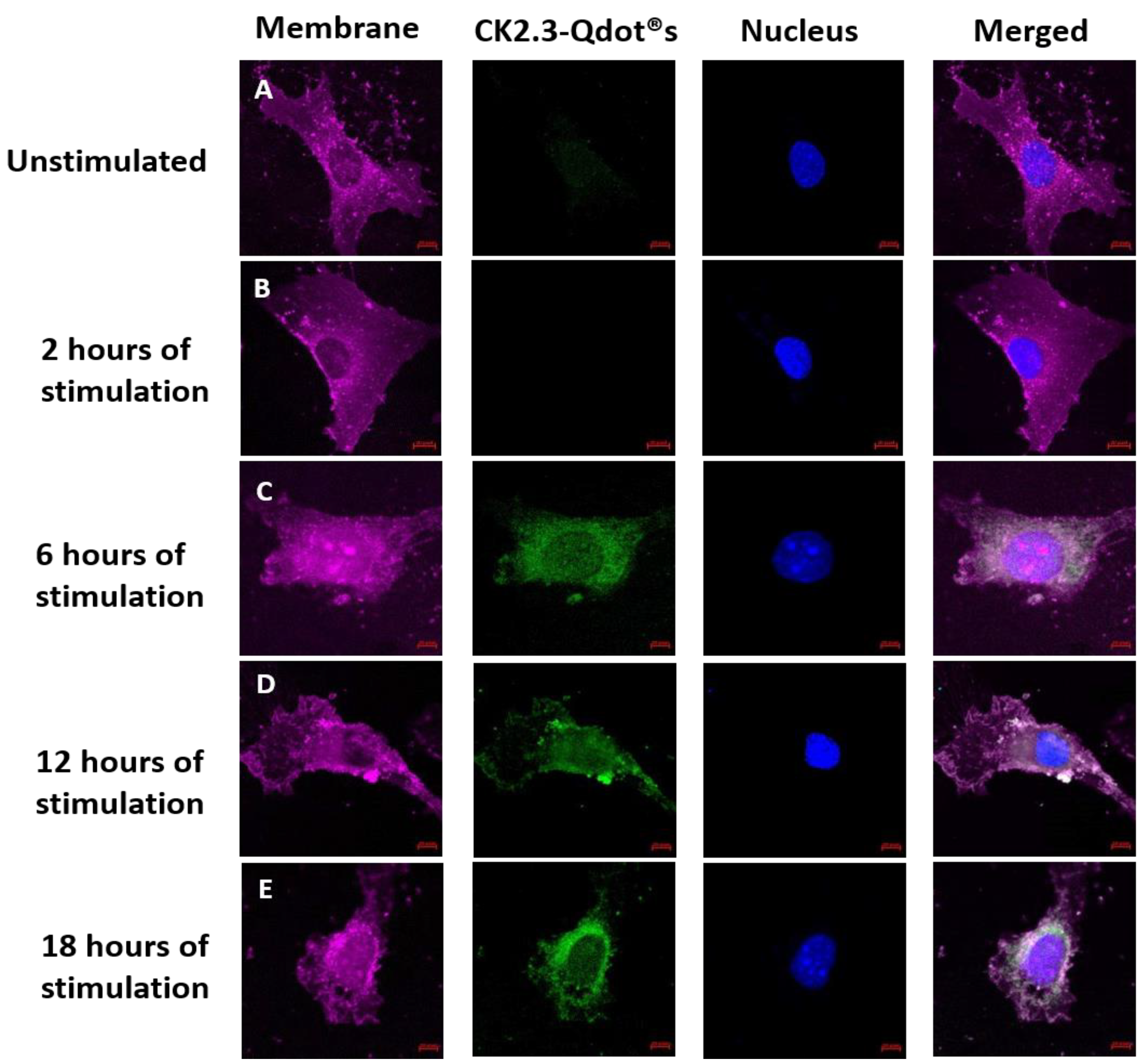 Nanomaterials 08 00513 g006