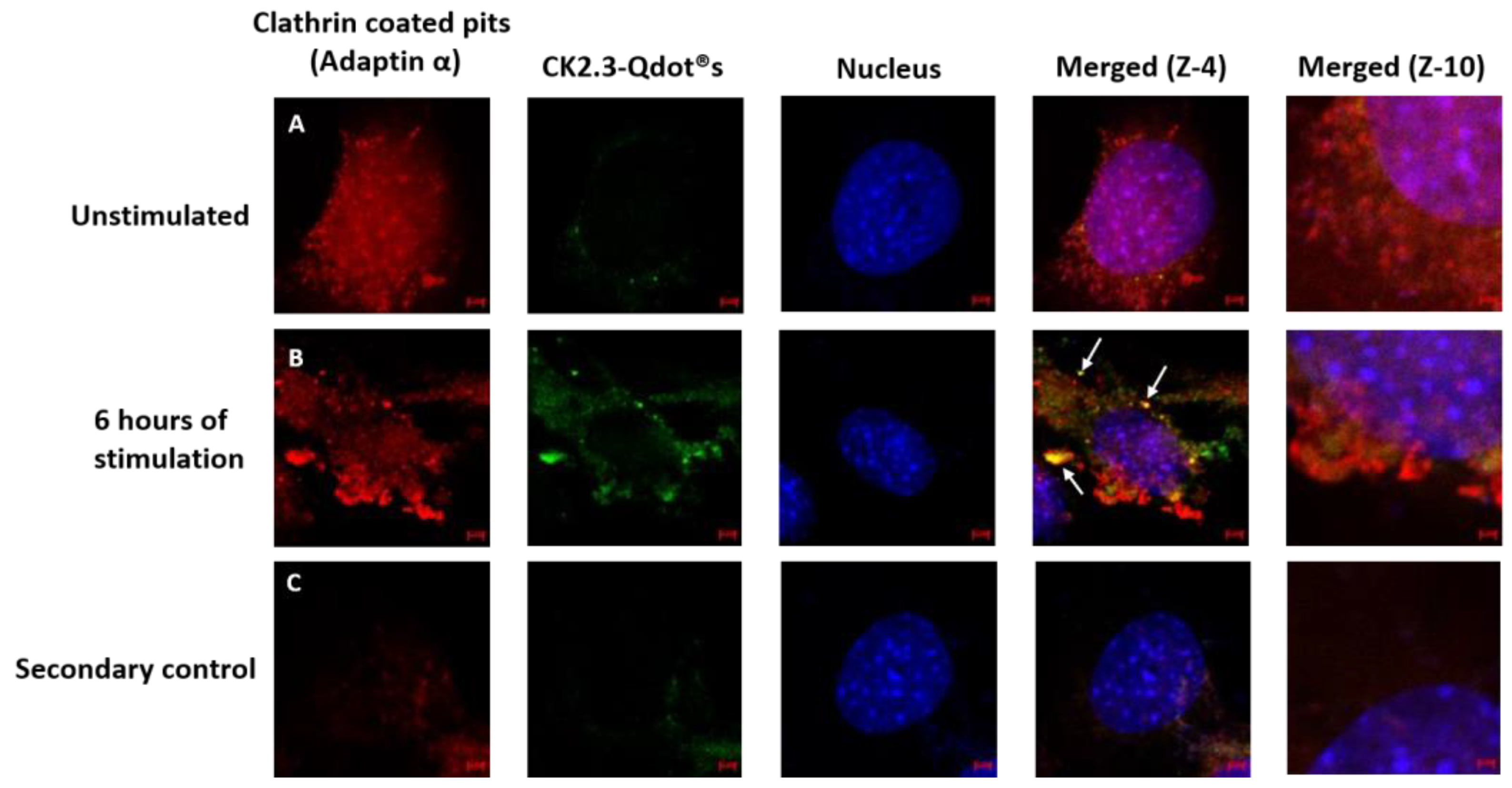 Nanomaterials 08 00513 g009