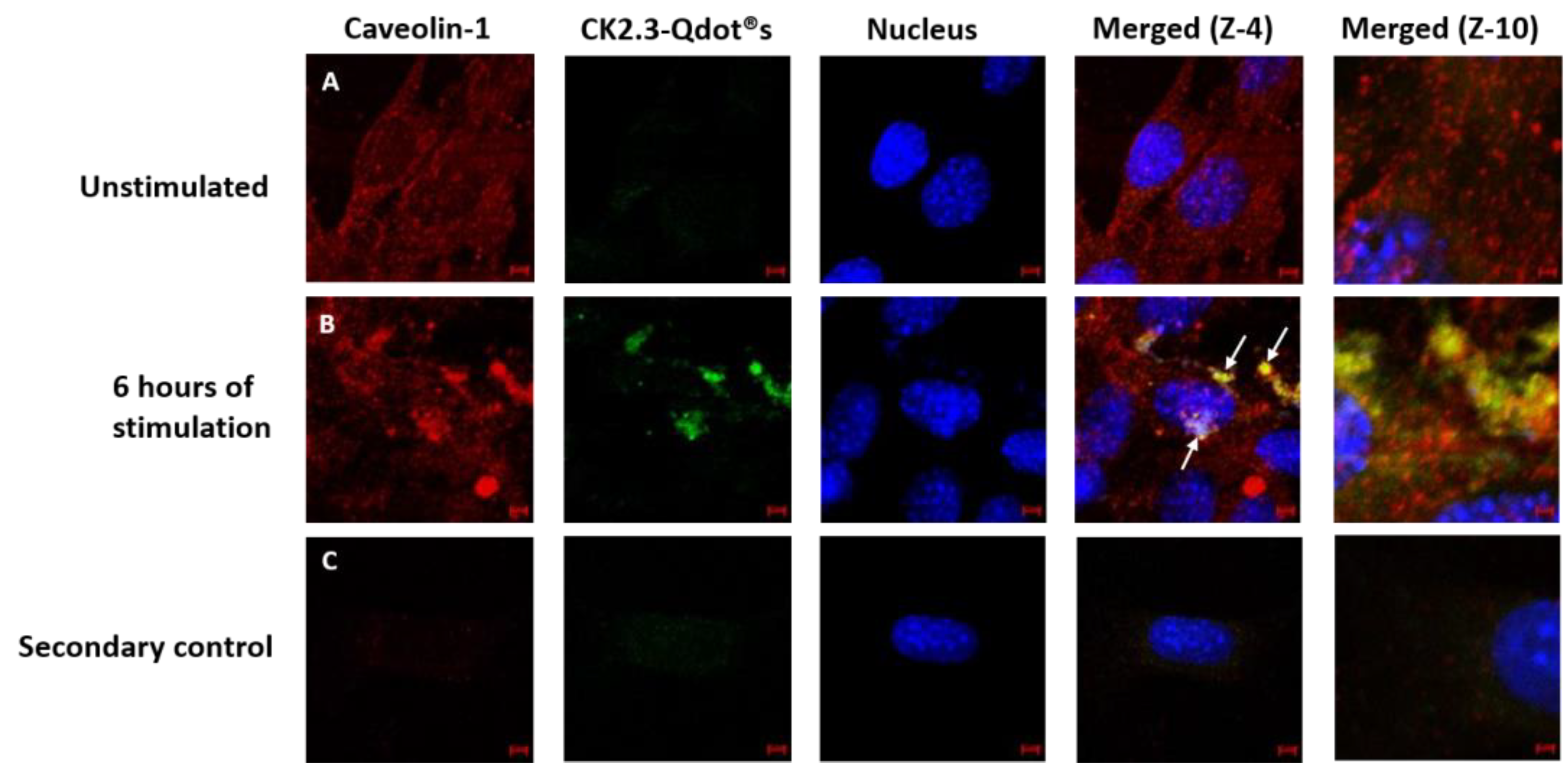 Nanomaterials 08 00513 g010