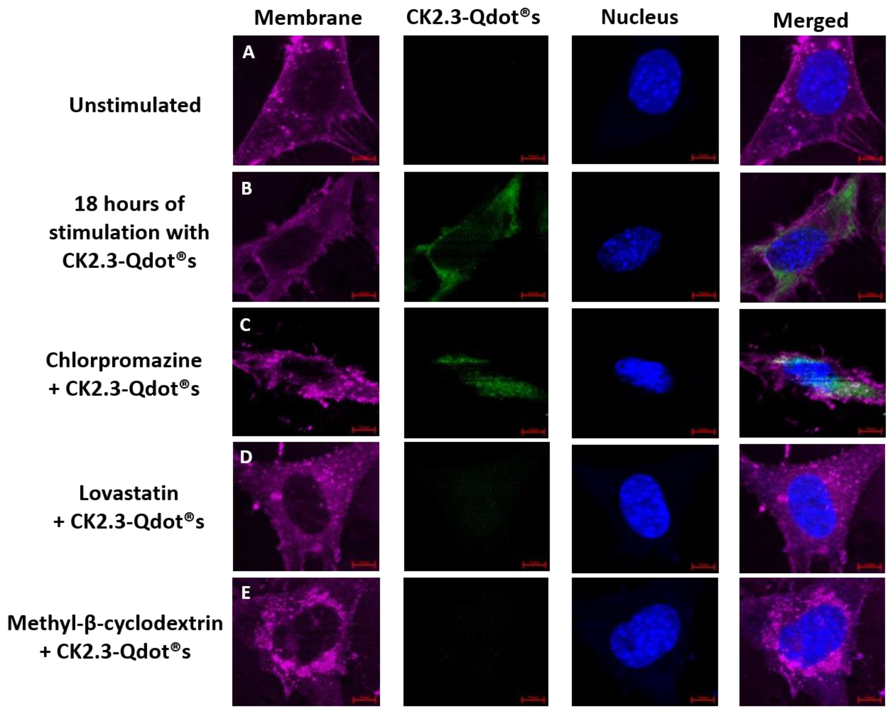 Nanomaterials 08 00513 g011
