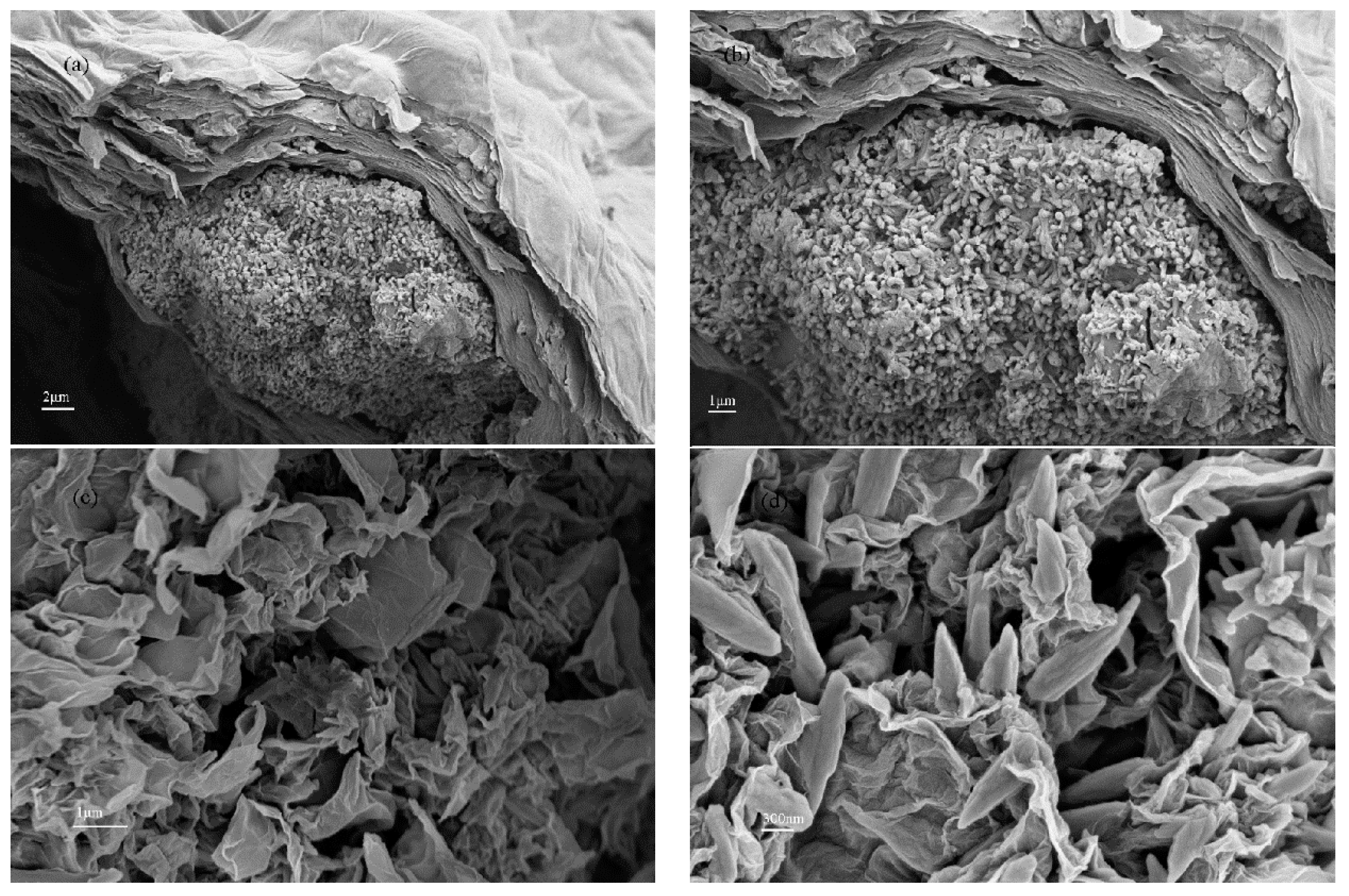 Nanomaterials 08 00574 g006